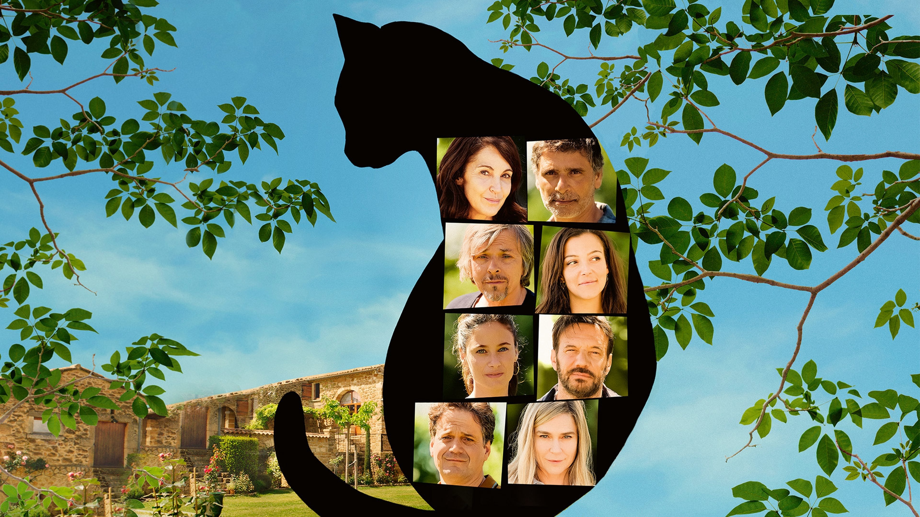 Backdrop for All Because of the Cat