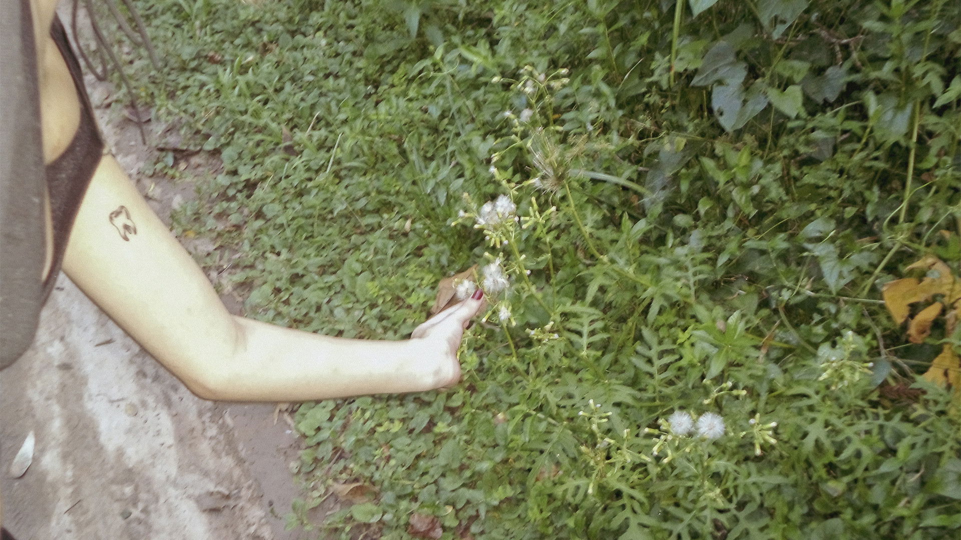 Backdrop for o céu diante dos meus olhos nunca é cinza