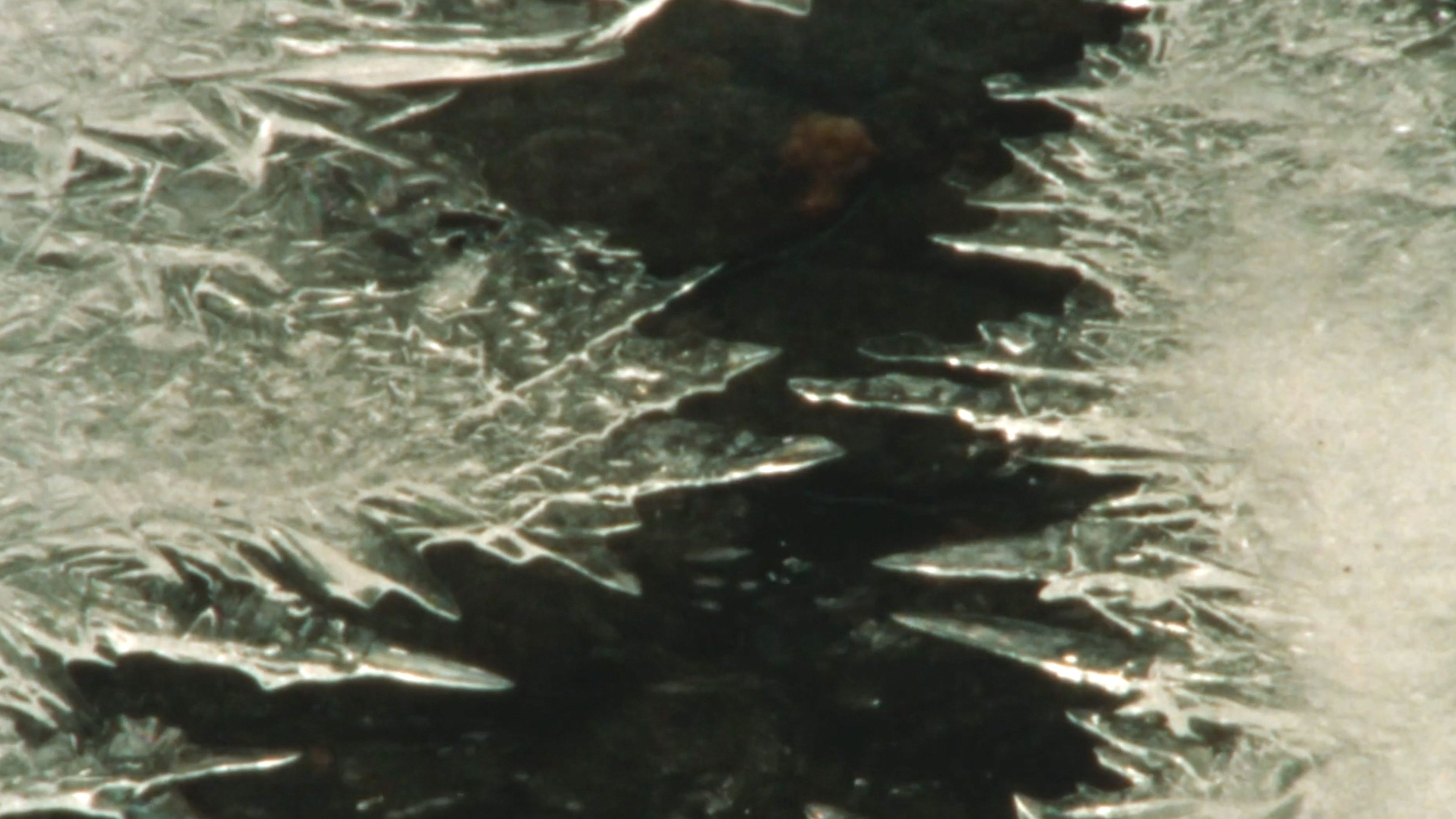 Backdrop for Winter's End