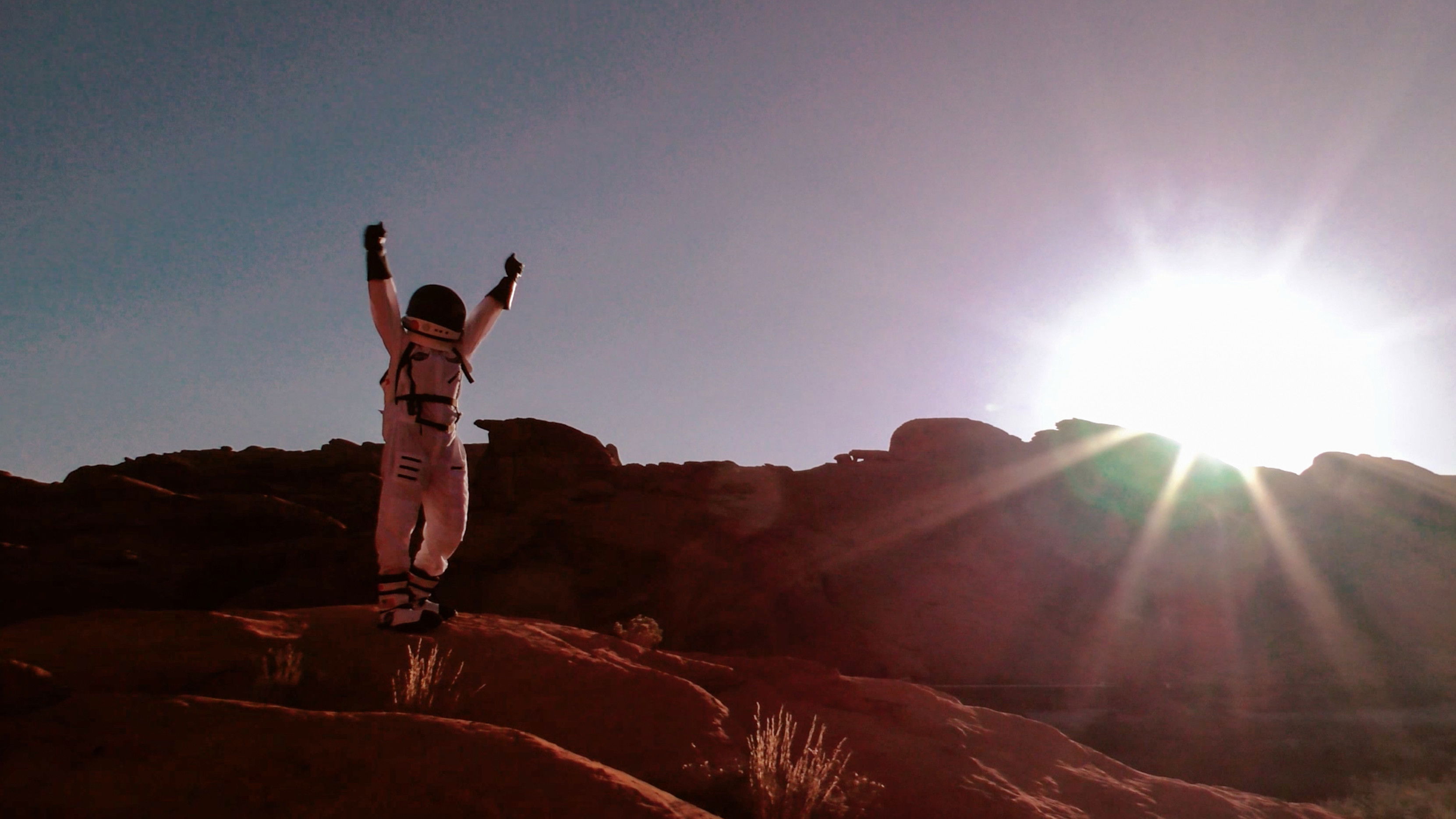 Backdrop for Bravo 6556