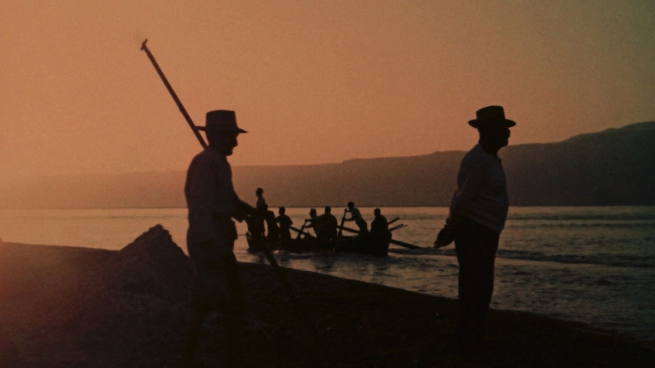 Backdrop for The Age of Swordfish