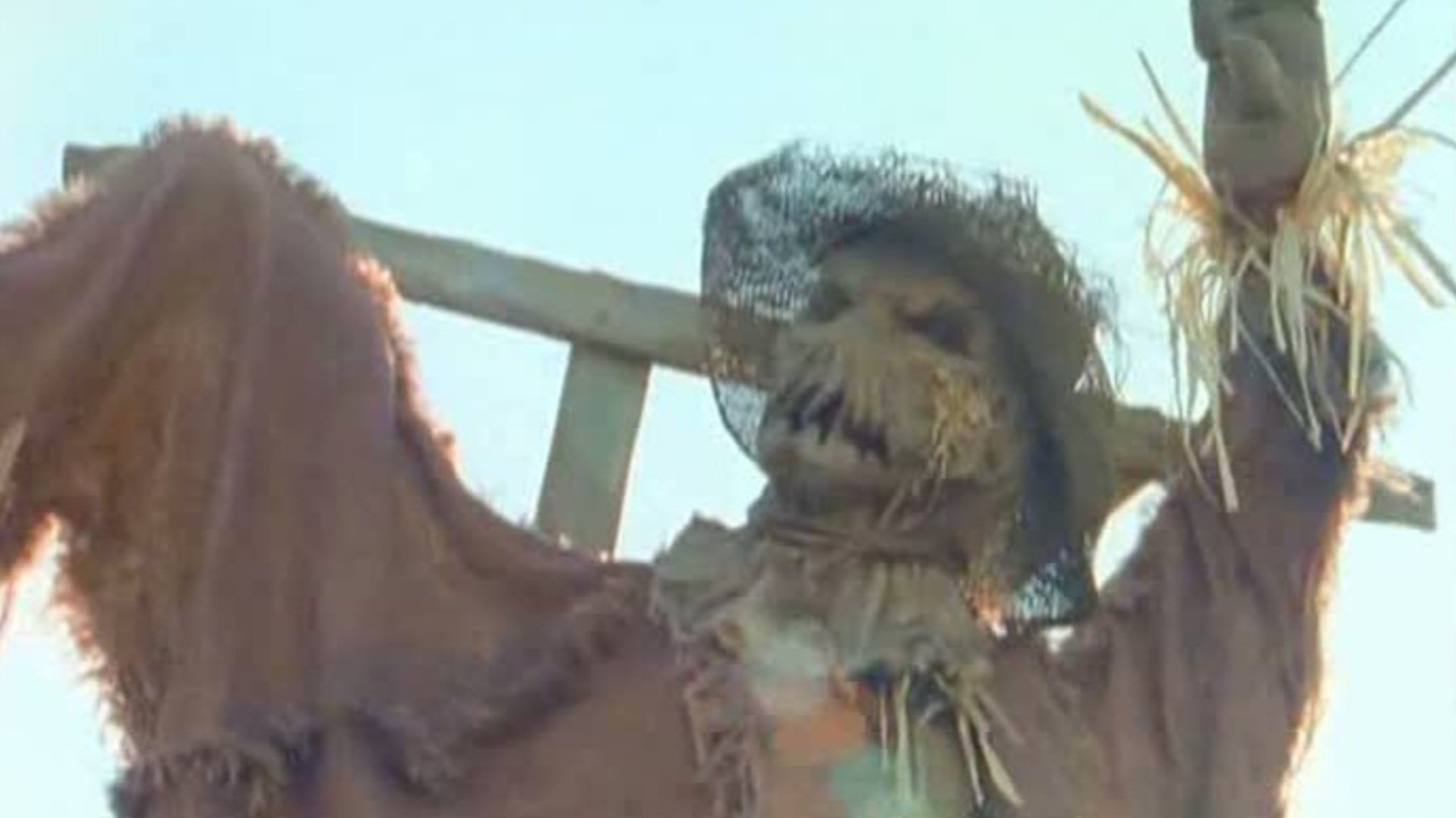 Backdrop for Goosebumps: The Scarecrow Walks at Midnight