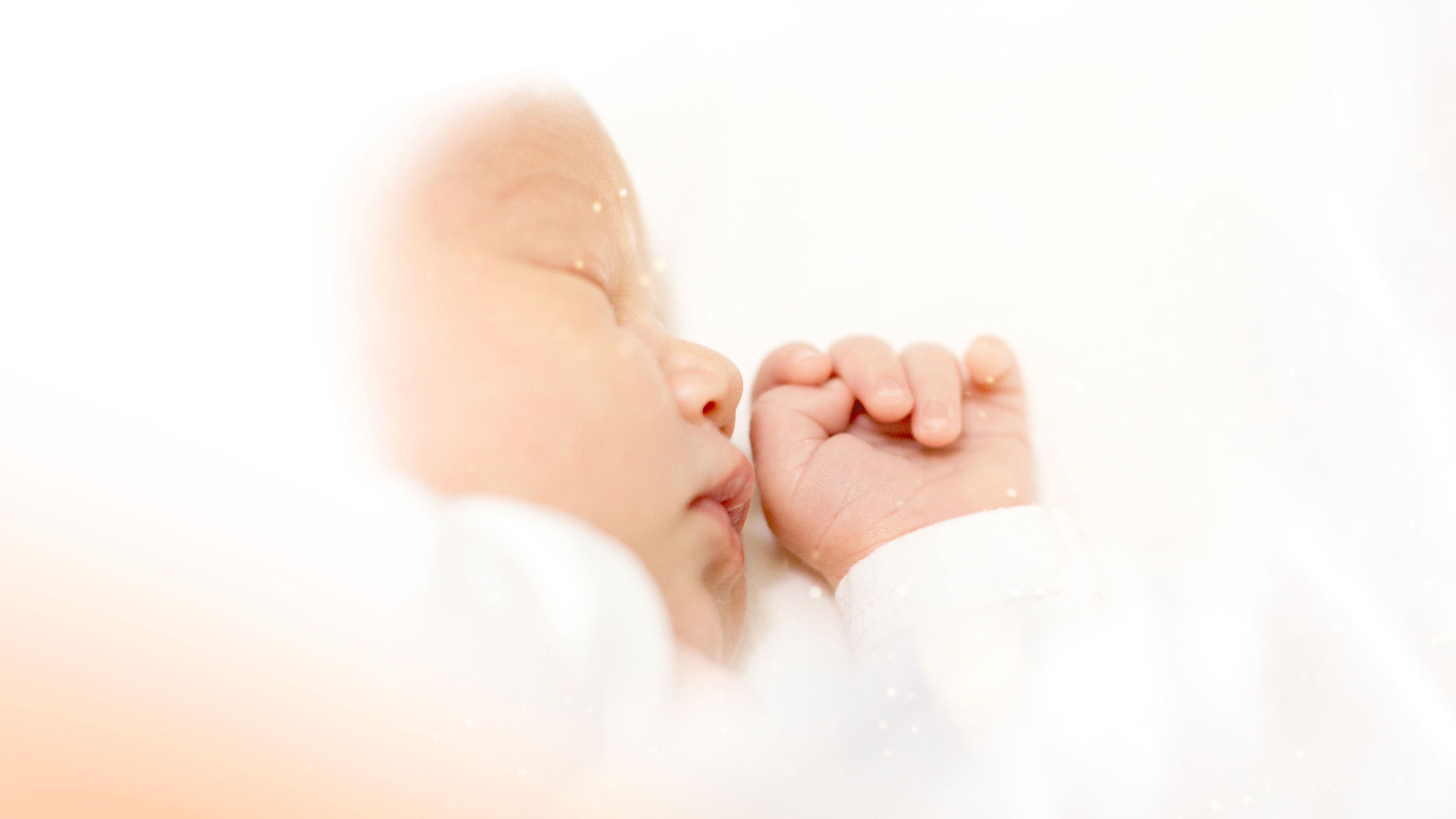 Backdrop for Big Miracles