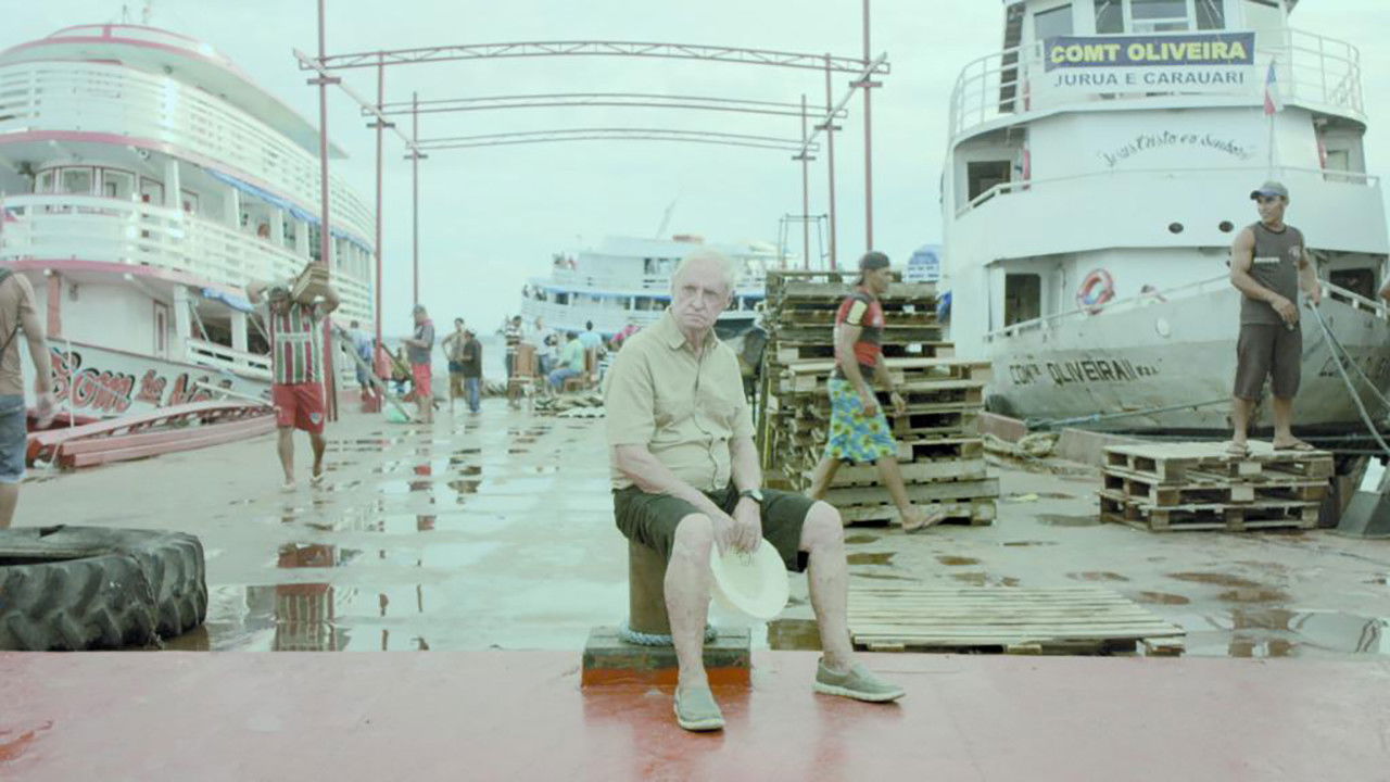 Backdrop for Where Is the Jungle?