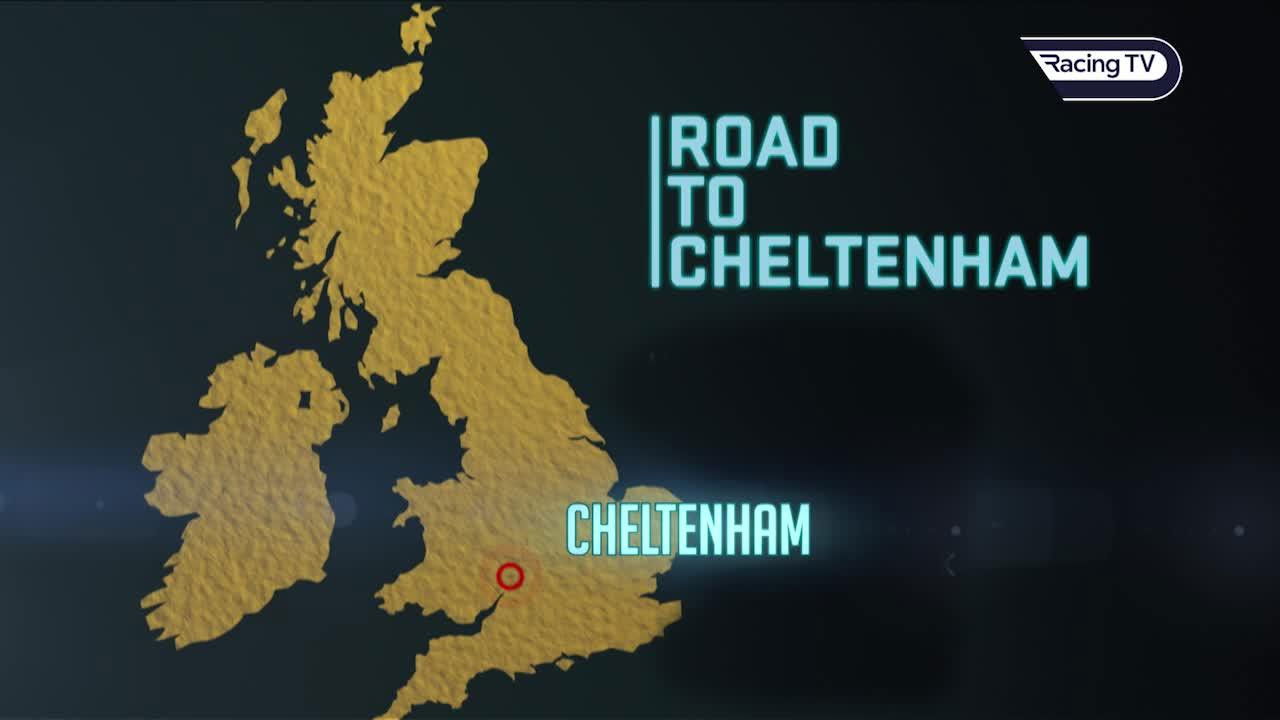 Backdrop for ROAD TO CHELTENHAM