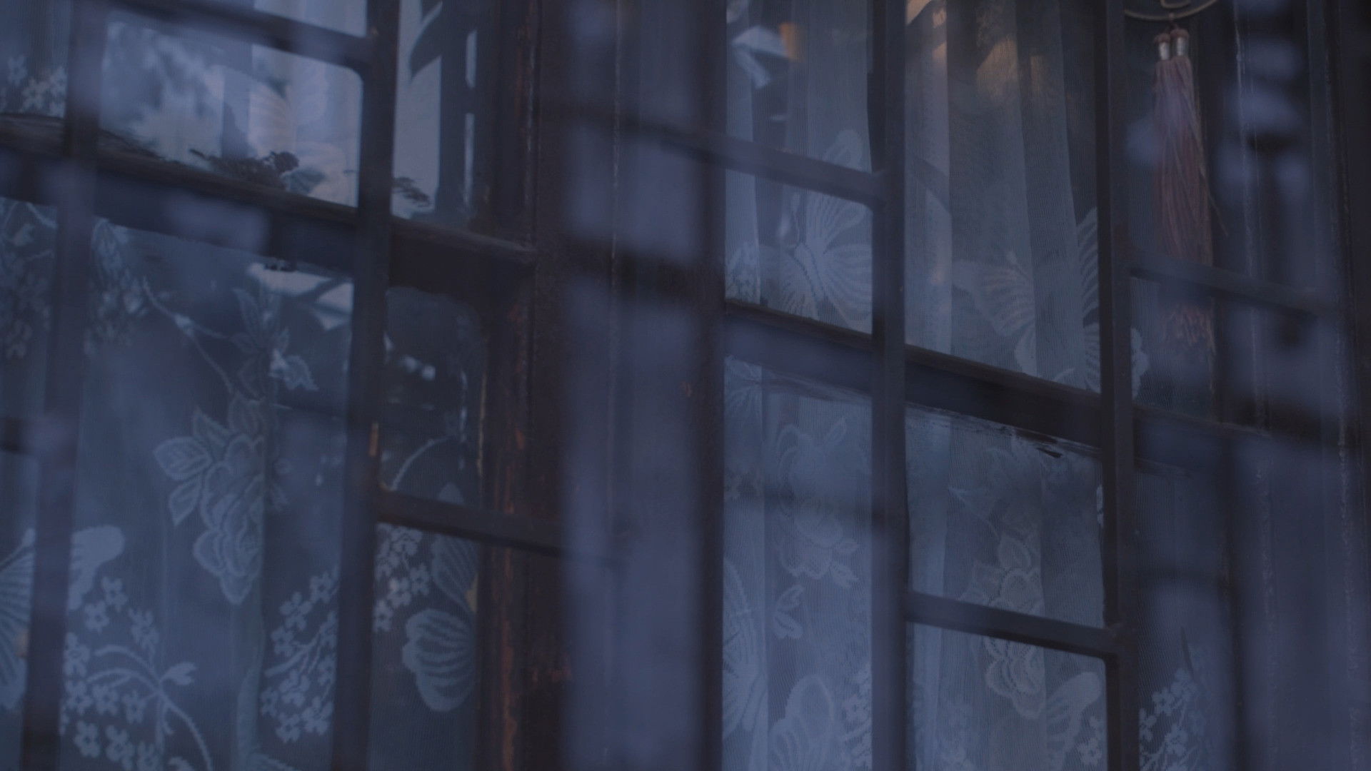 Backdrop for Lo Que Queda en la Tierra