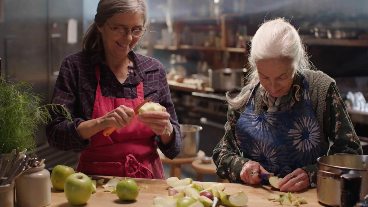 Backdrop for Bloodroot