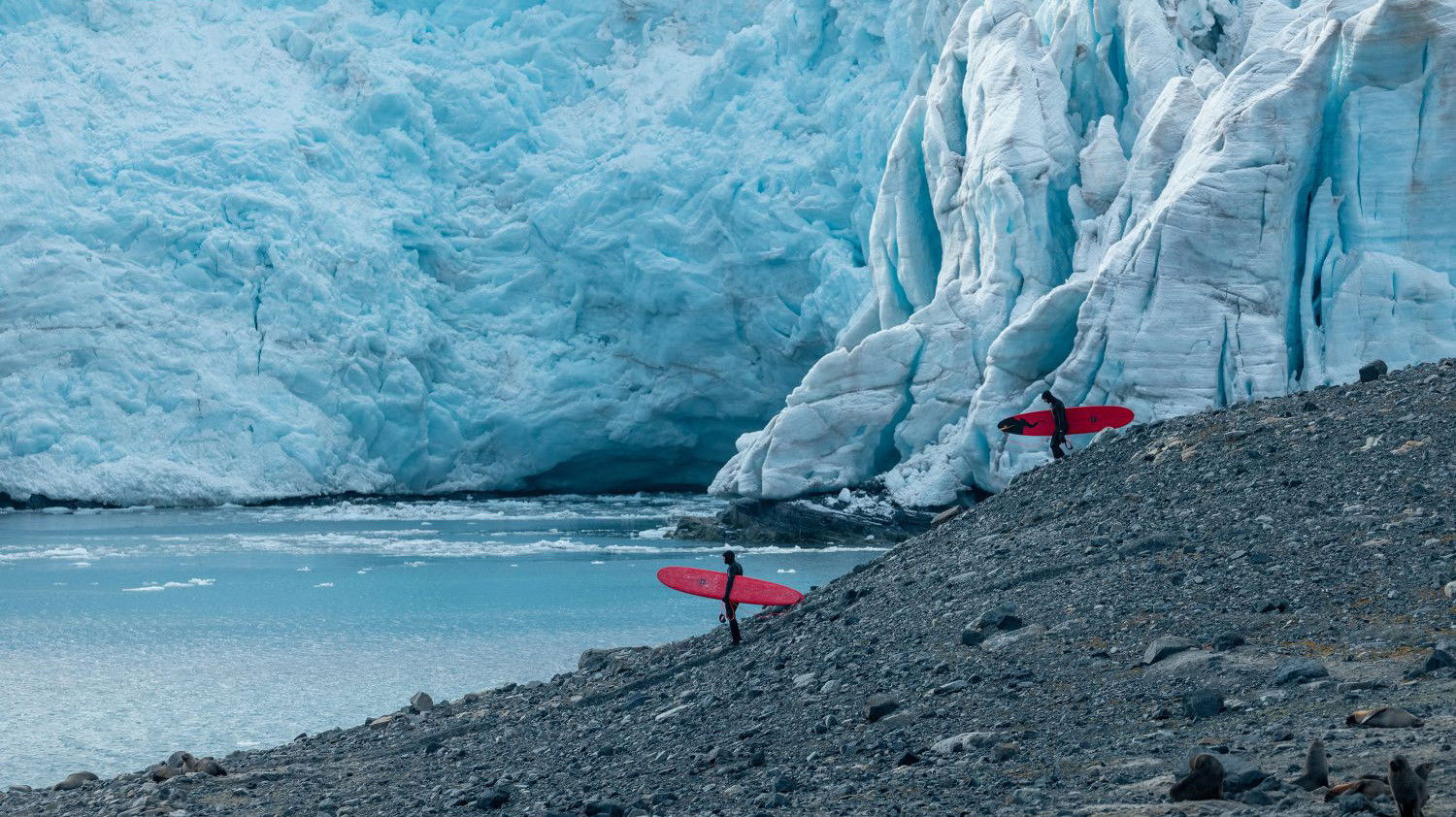 Backdrop for Antarctica - Domain One