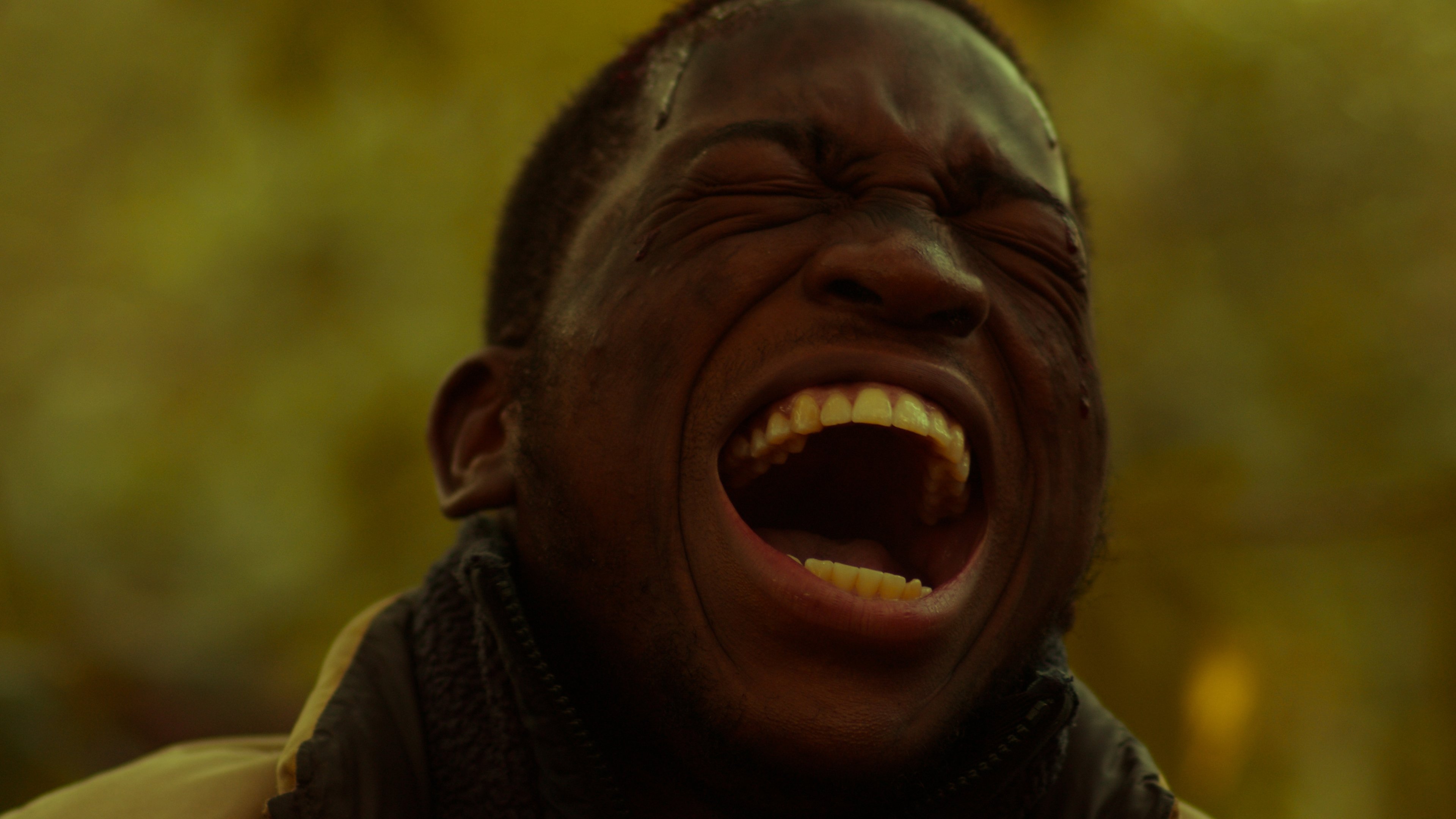 Backdrop for The Darkling Fox