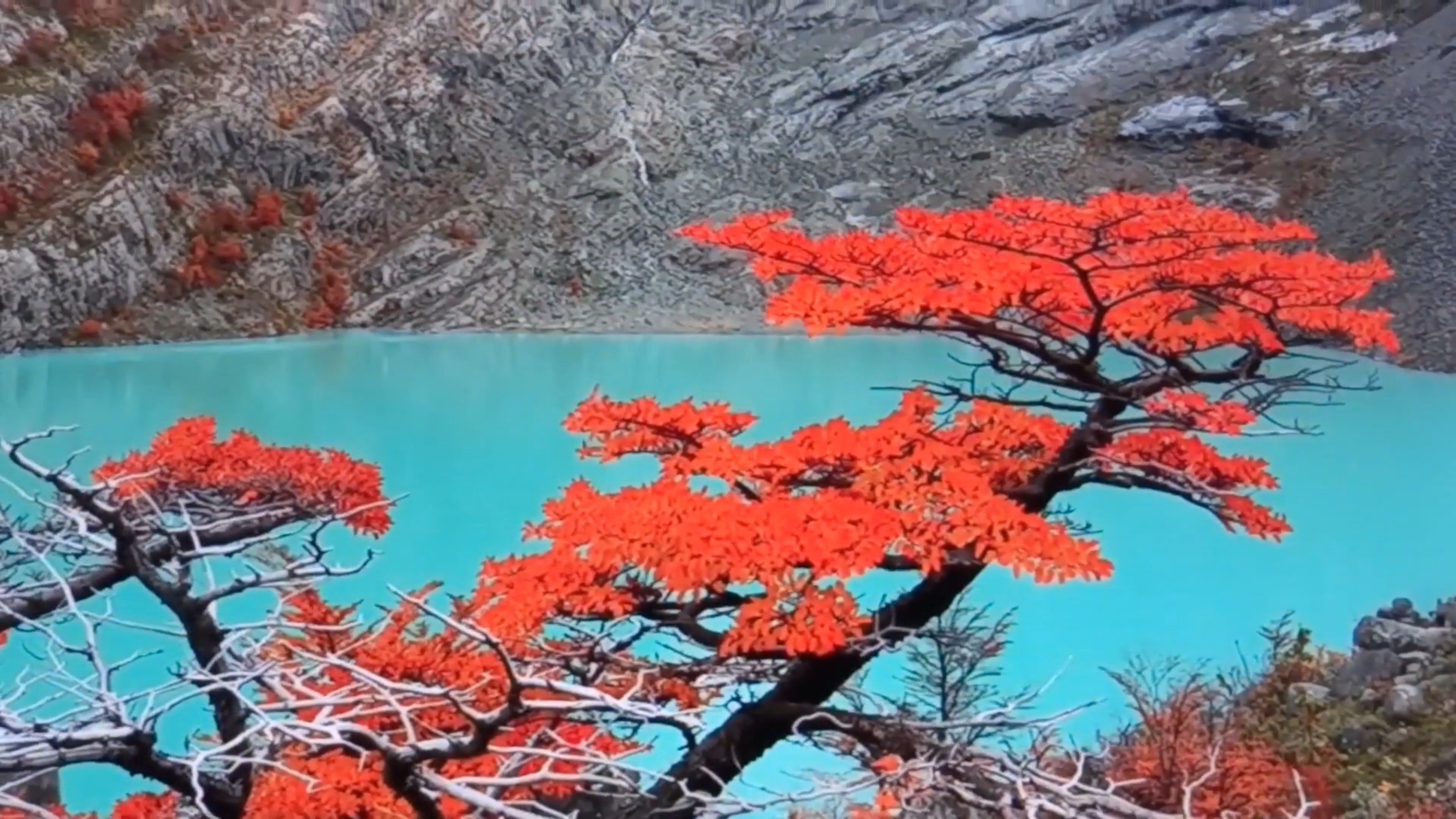 Backdrop for PROJETO PATAGÔNIA