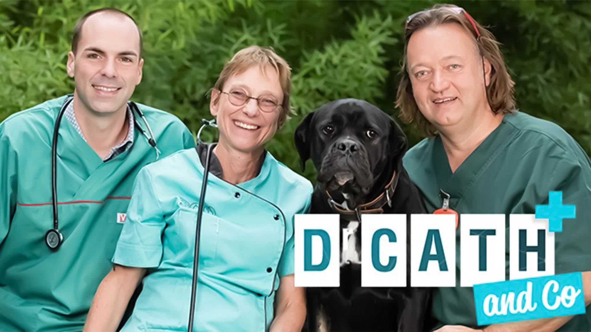 Backdrop for Dr Cath and Co