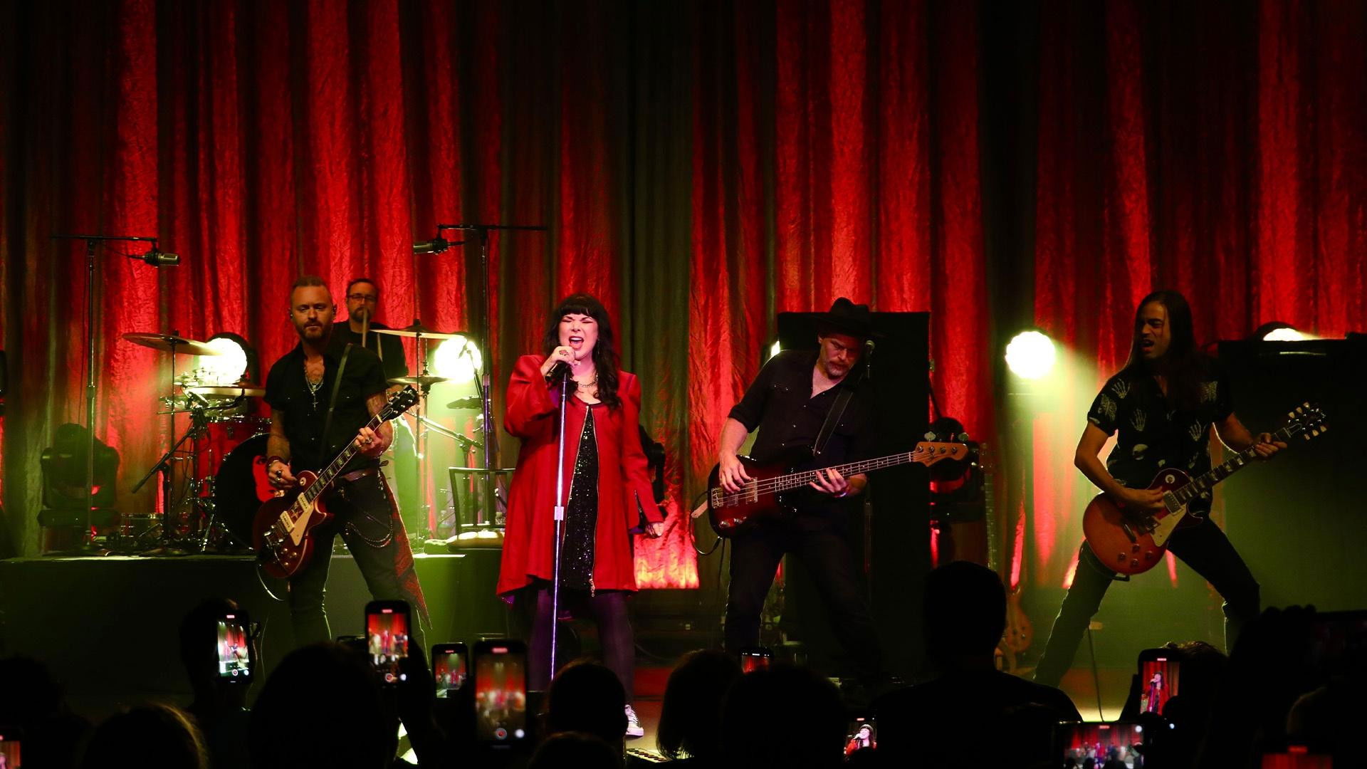 Backdrop for Ann Wilson & Tripsitter - Live in Concert