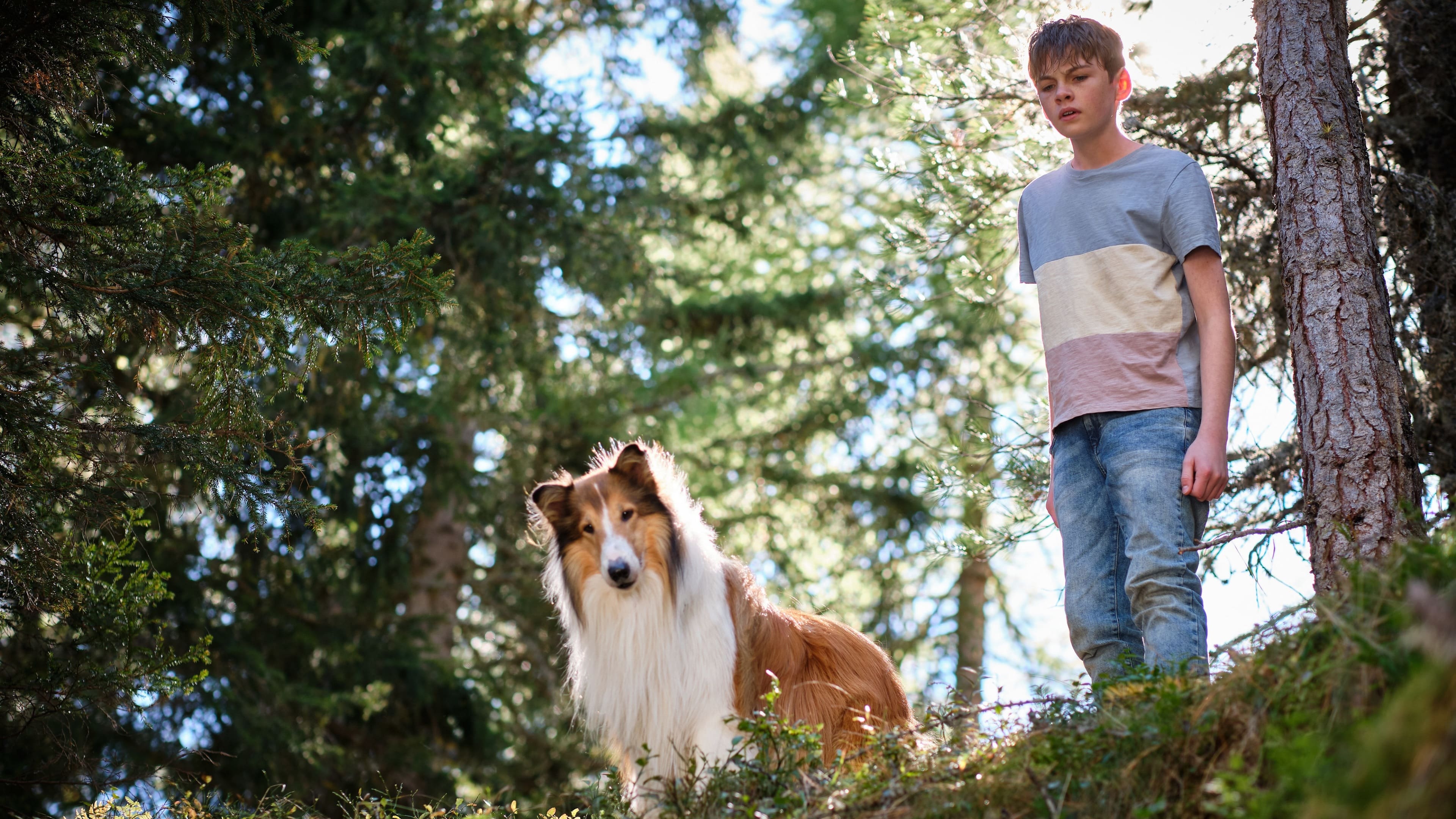Backdrop for Lassie: A New Adventure