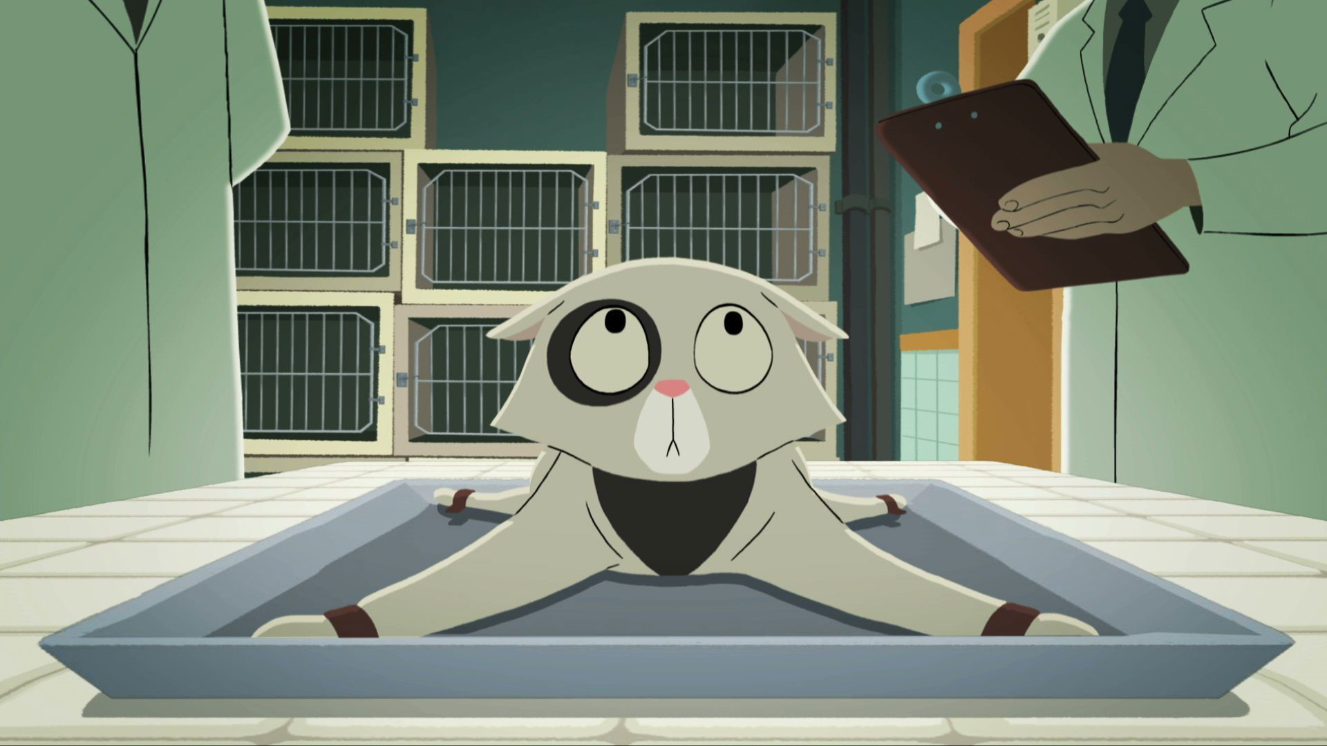 Backdrop for Acoustic Kitty