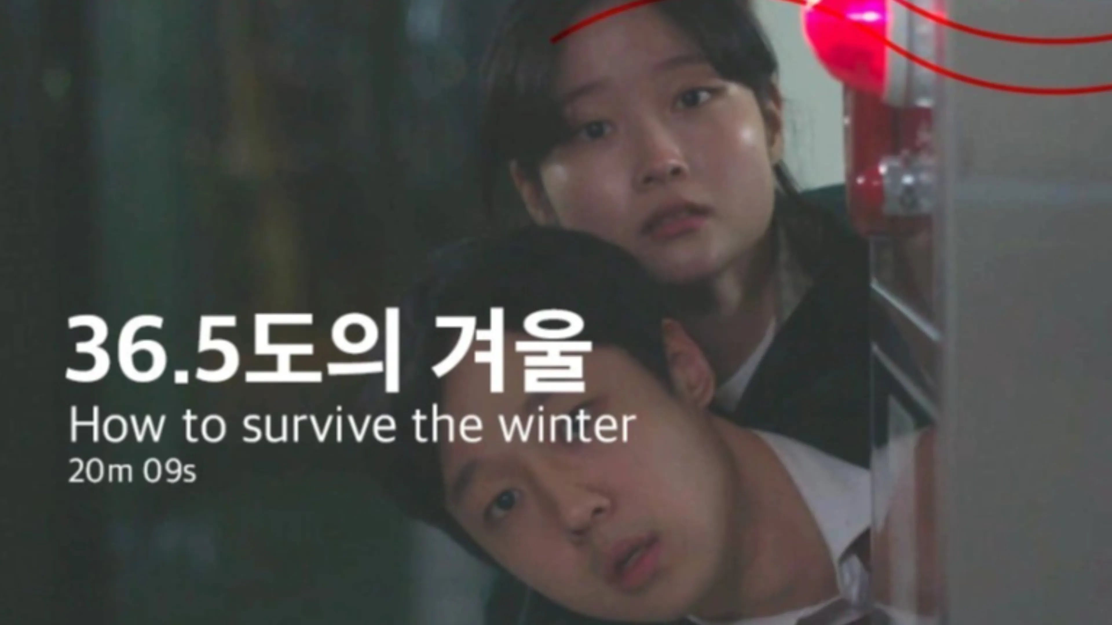 Backdrop for How to survive the winter