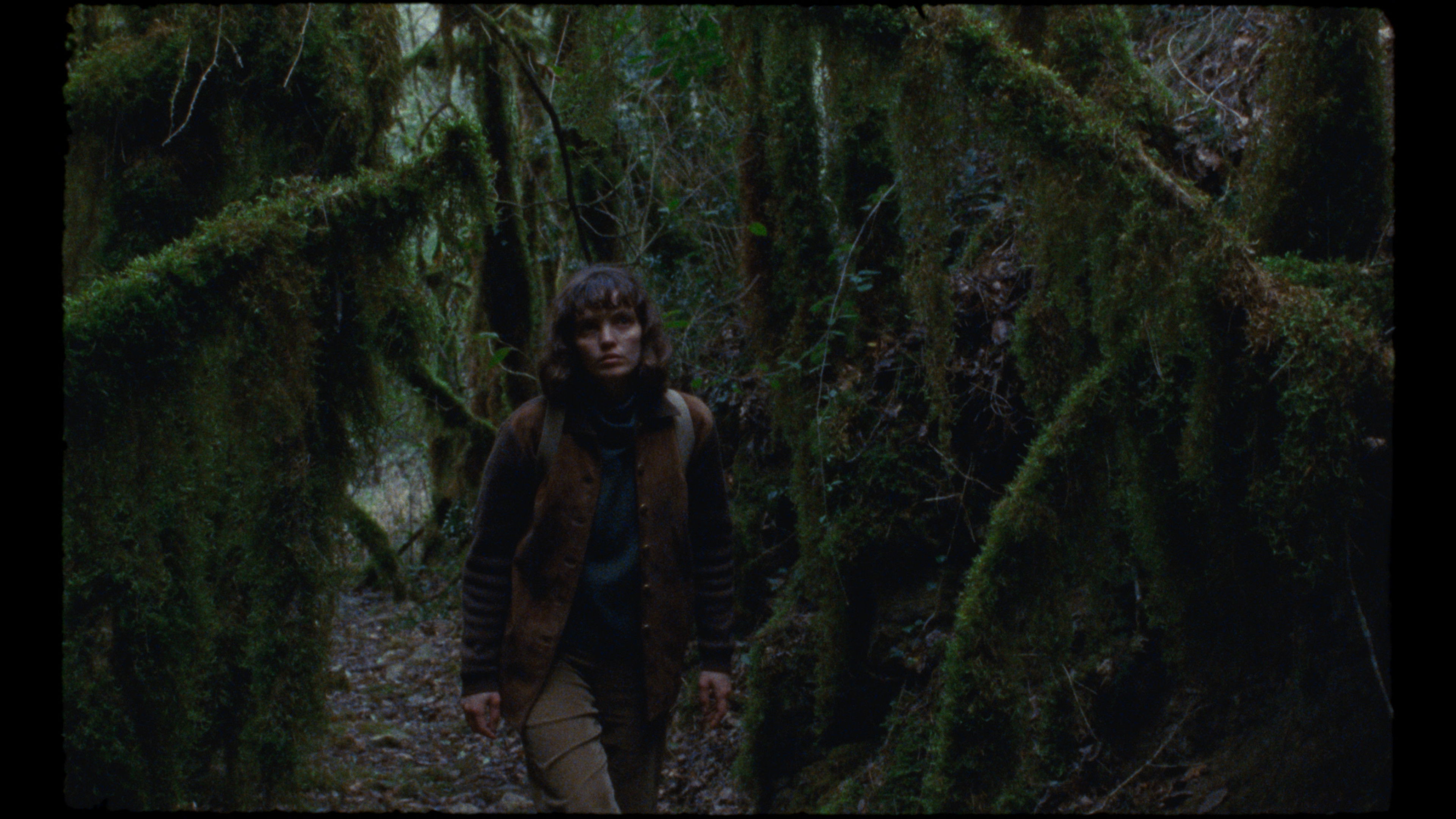 Backdrop for The Fountain of Memory