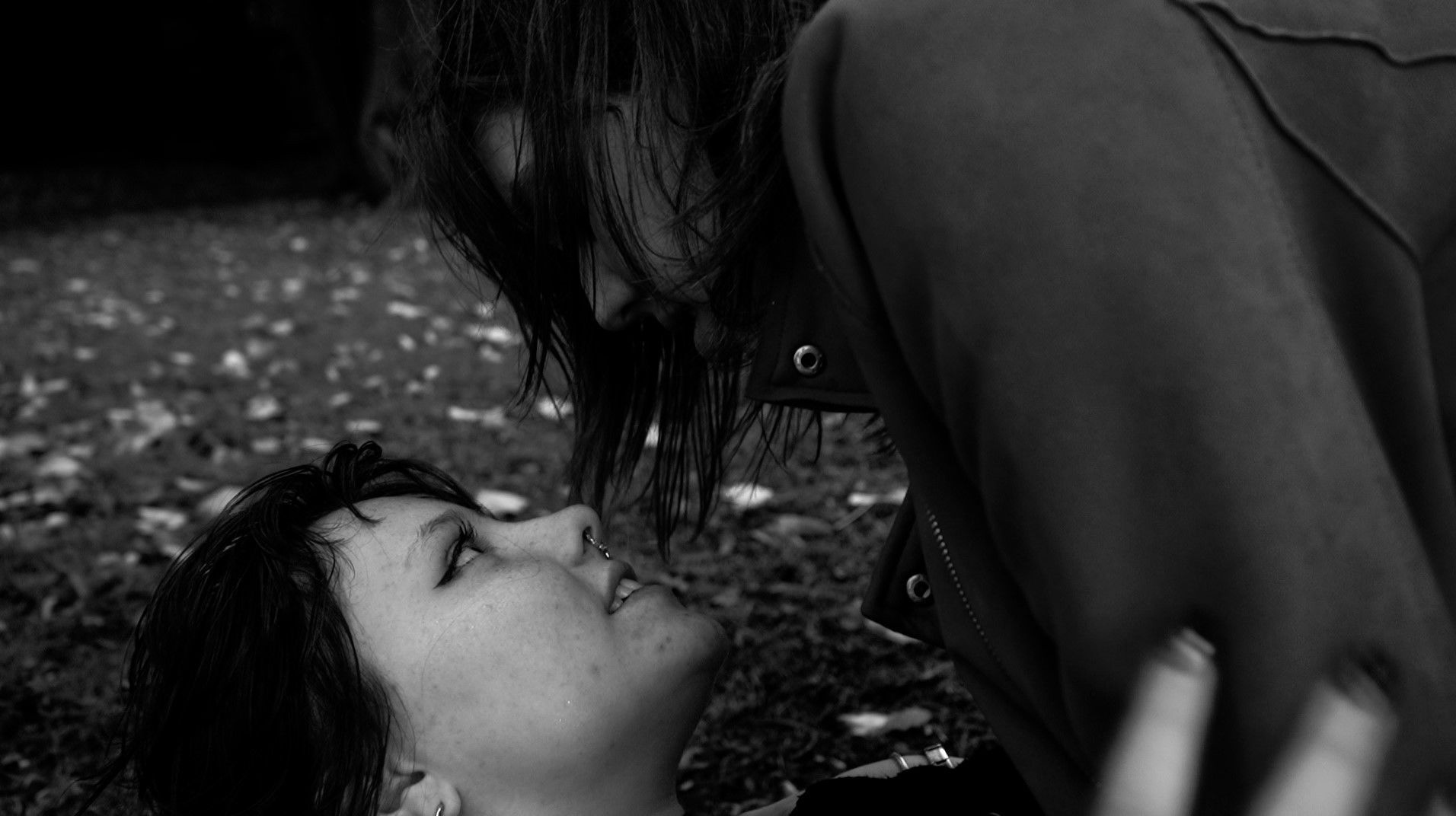 Backdrop for Frangipane