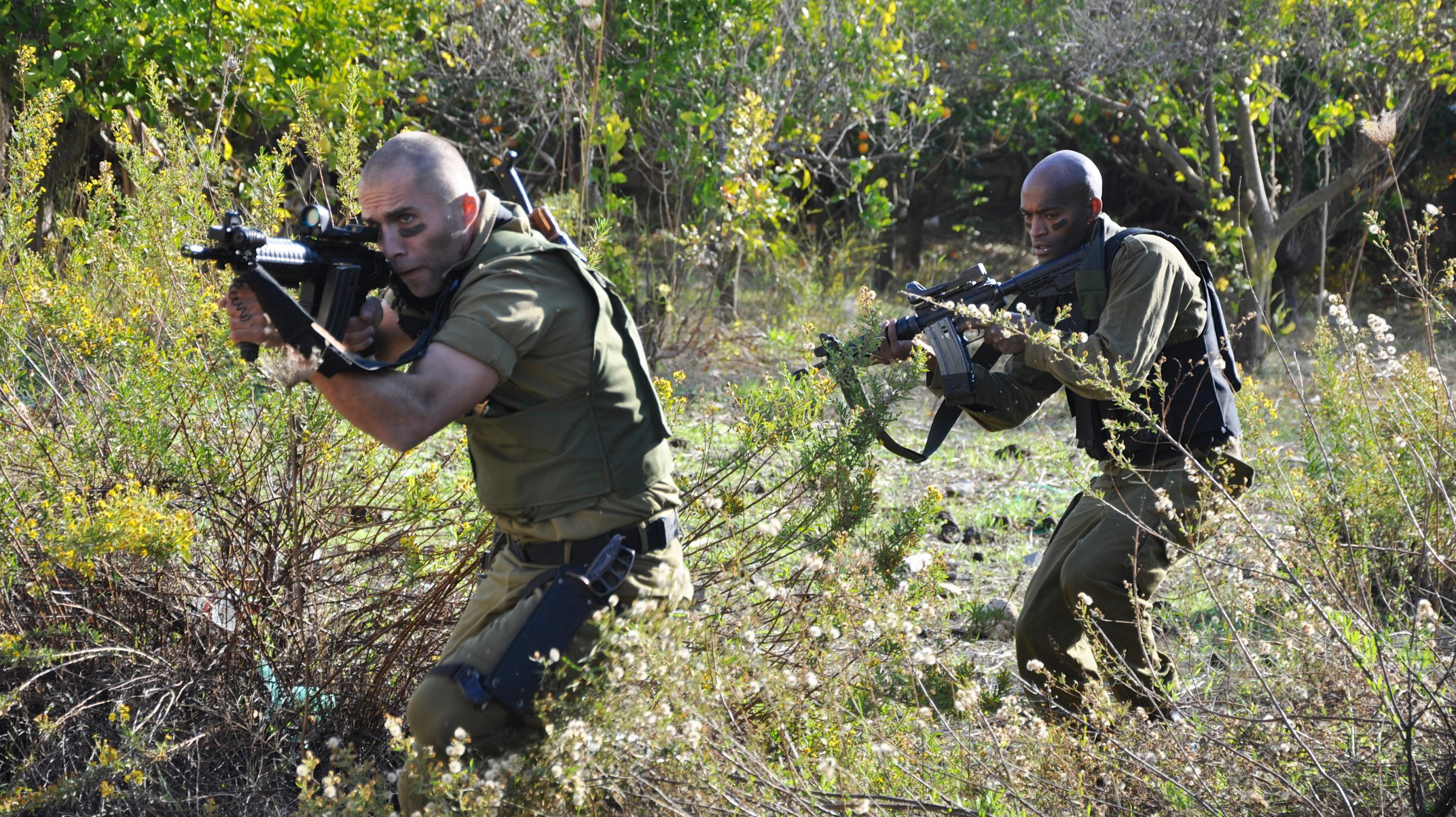 Backdrop for Battle of the Undead