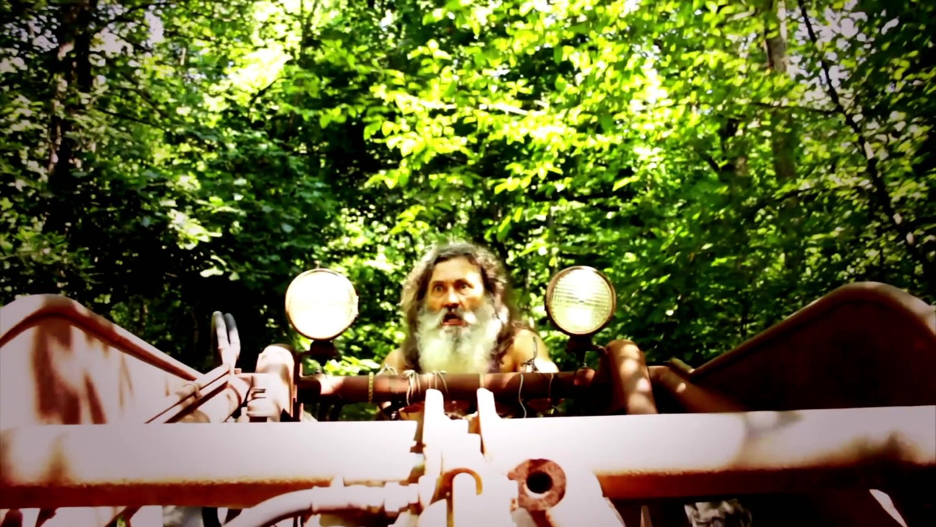 Backdrop for Deer Crossing