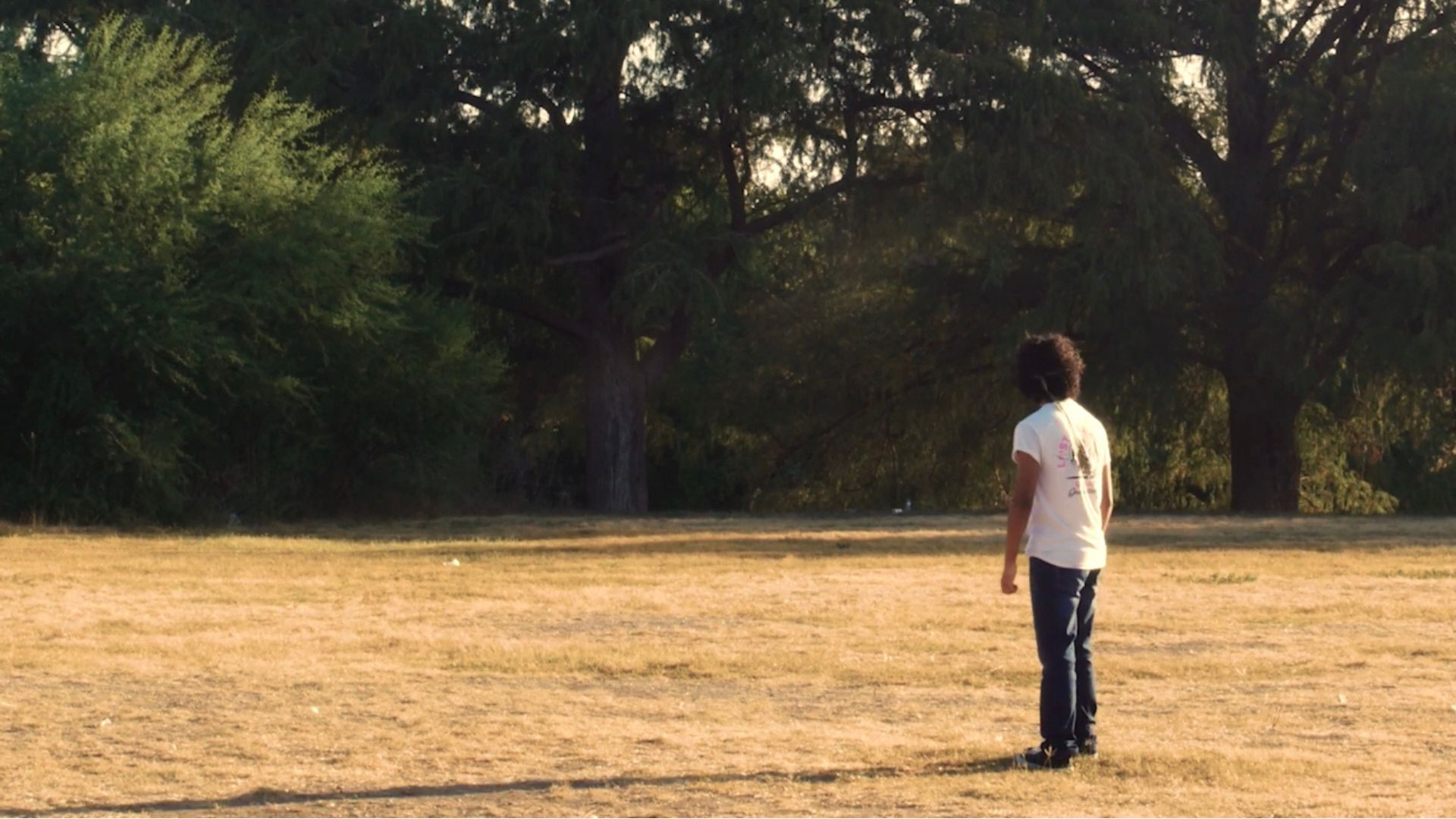 Backdrop for Golden Joe and the Quest for Love