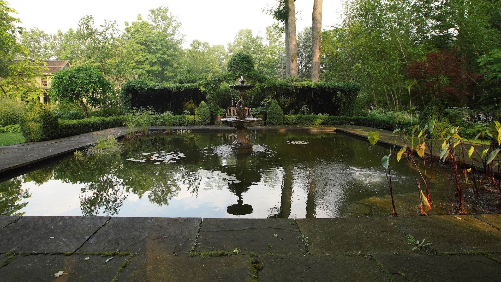 Backdrop for GardenFit