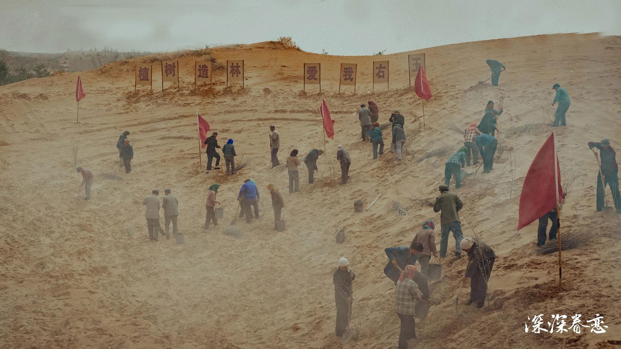 Backdrop for 深深眷恋