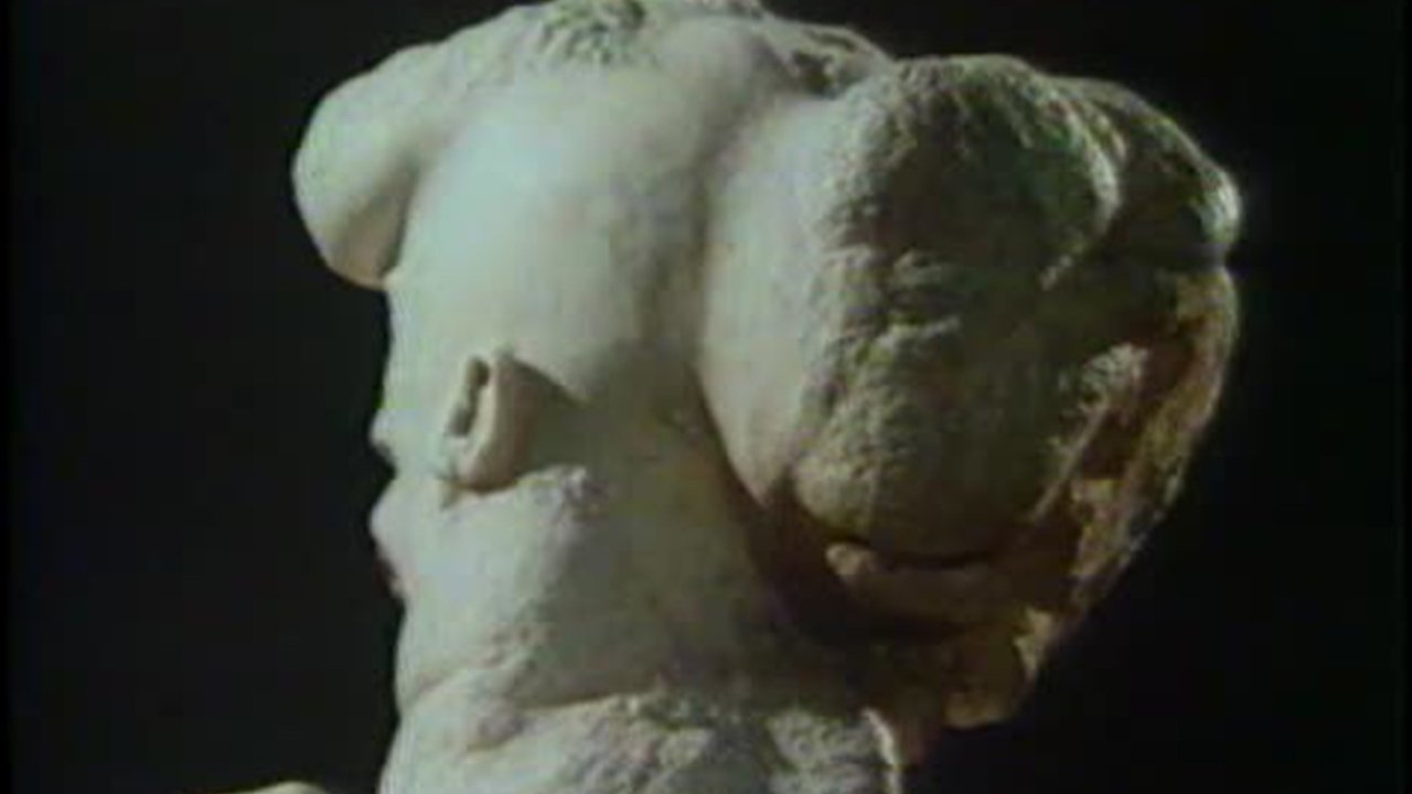 Backdrop for The Skin Horse