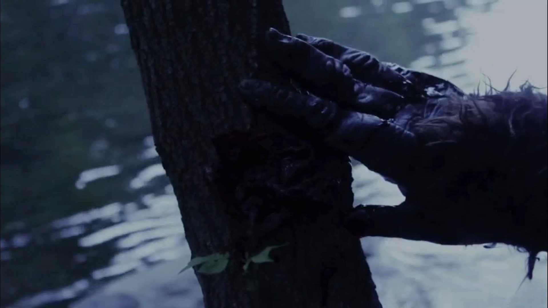 Backdrop for Black Water Creek