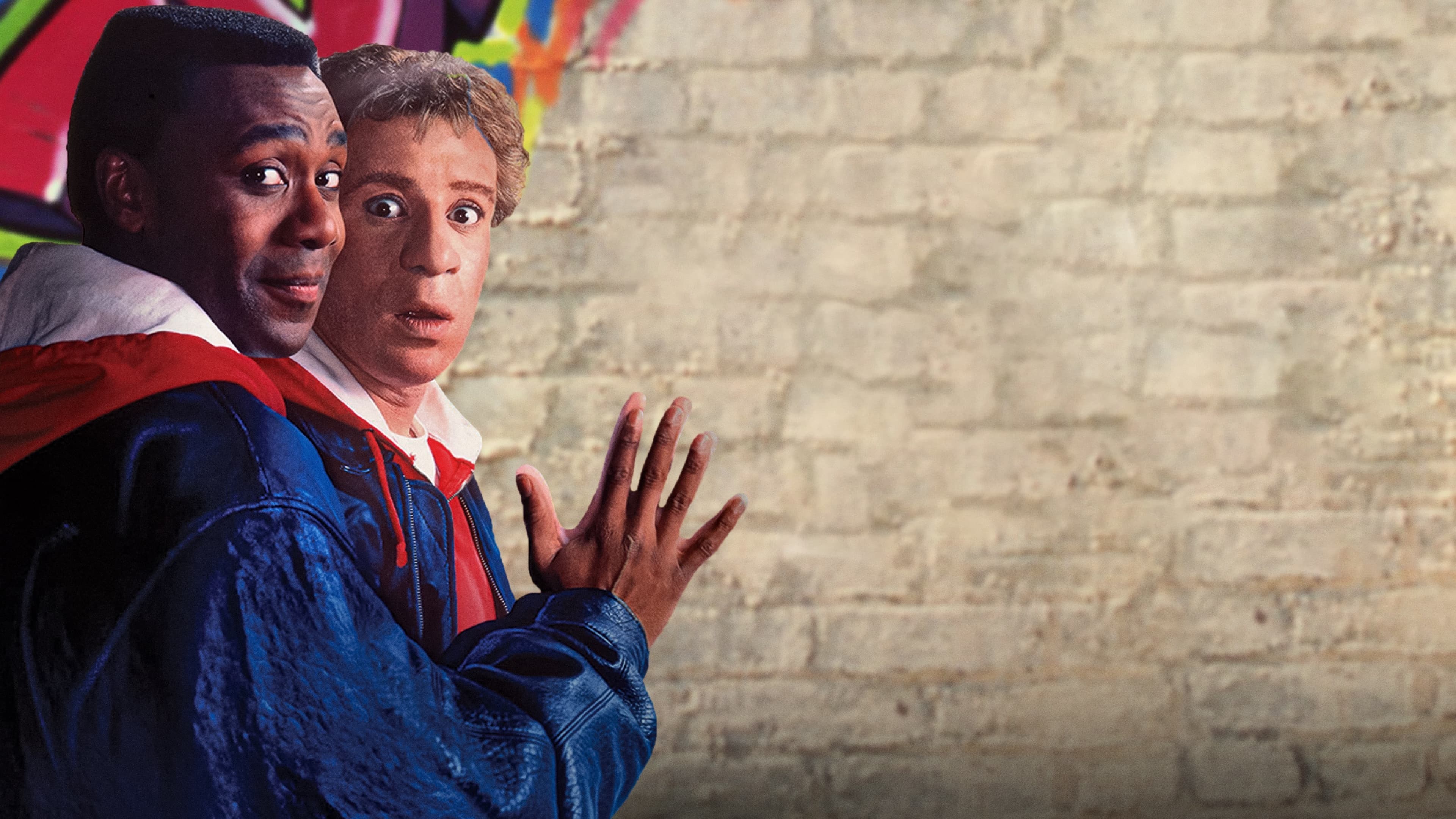 Backdrop for True Identity