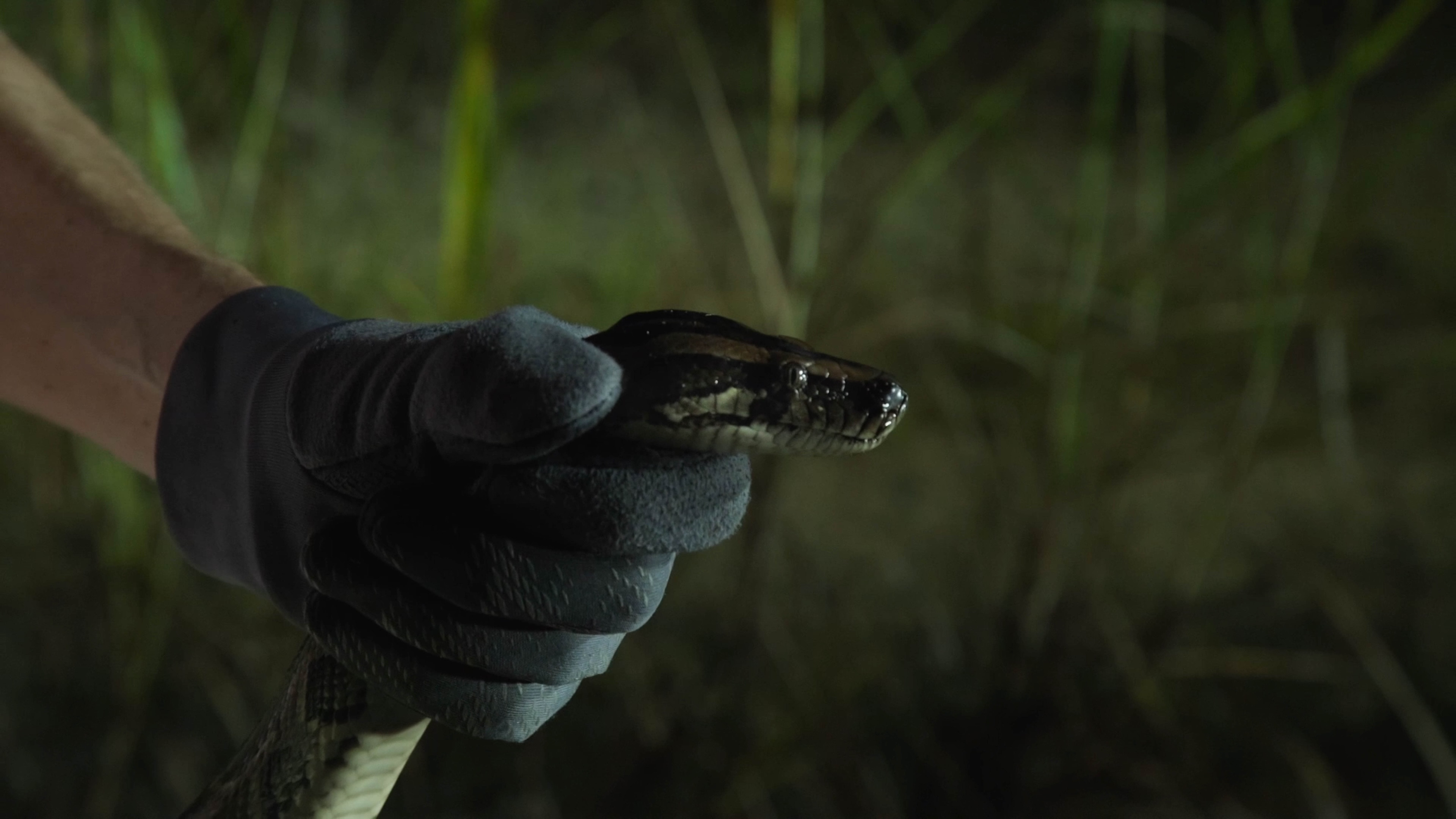 Backdrop for River of Grass