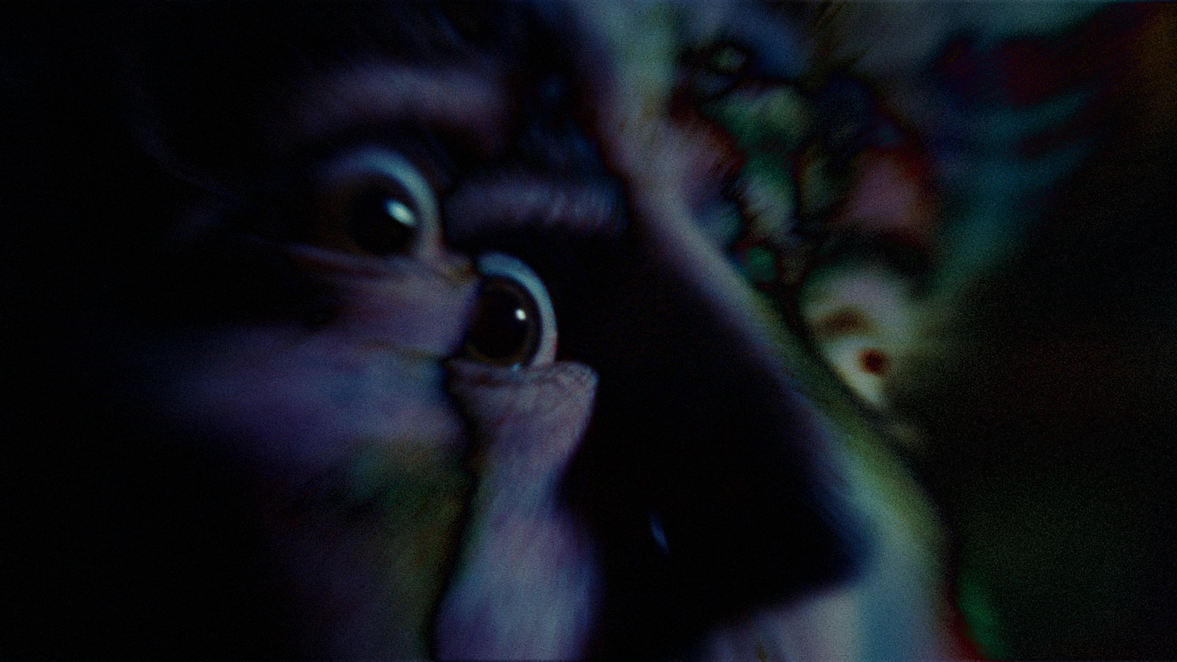 Backdrop for La Ciencia de los Sueños