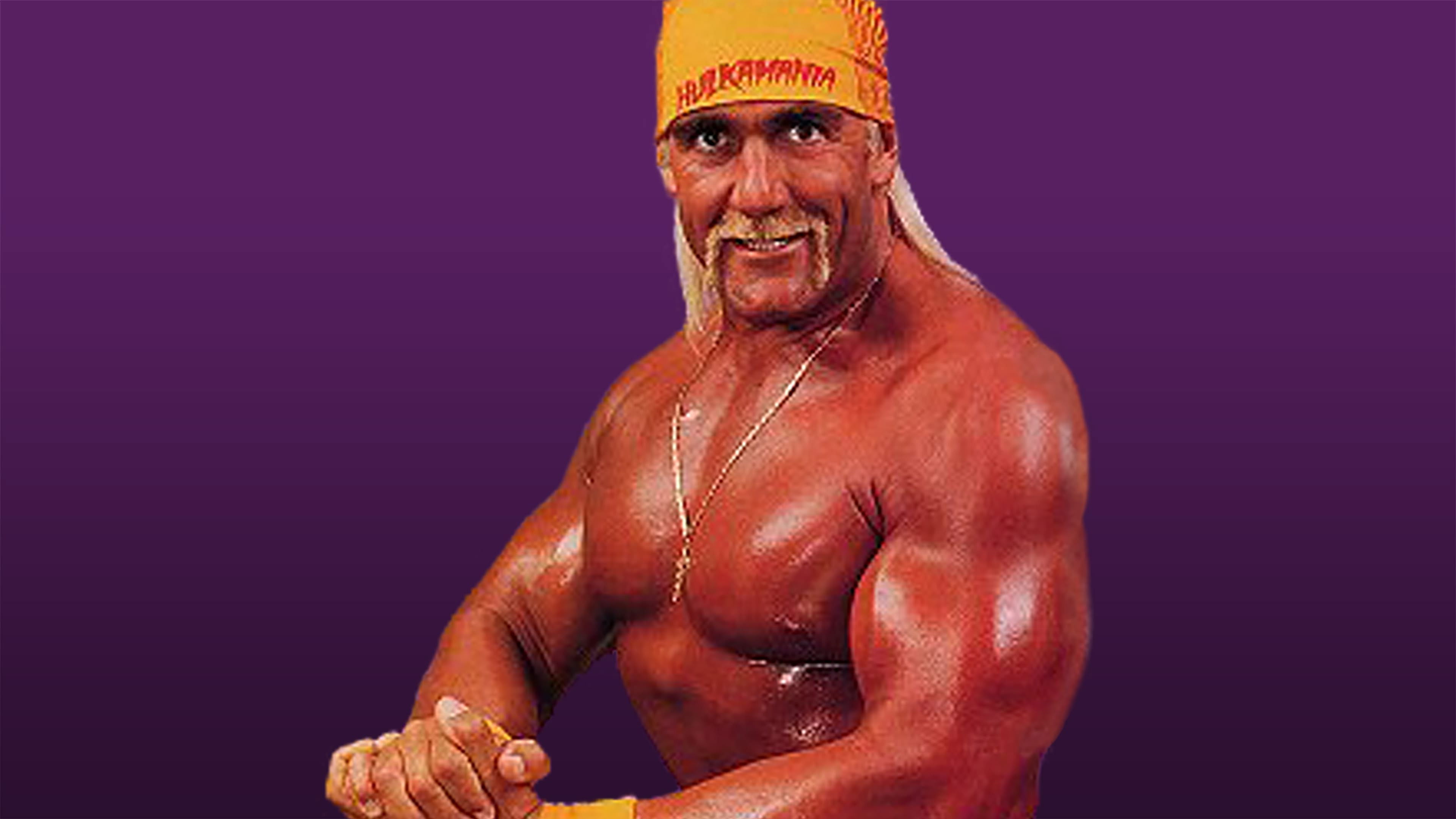 Backdrop for WWE King of the Ring 1993