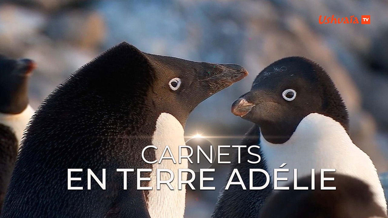 Backdrop for Carnet de Terre Adélie