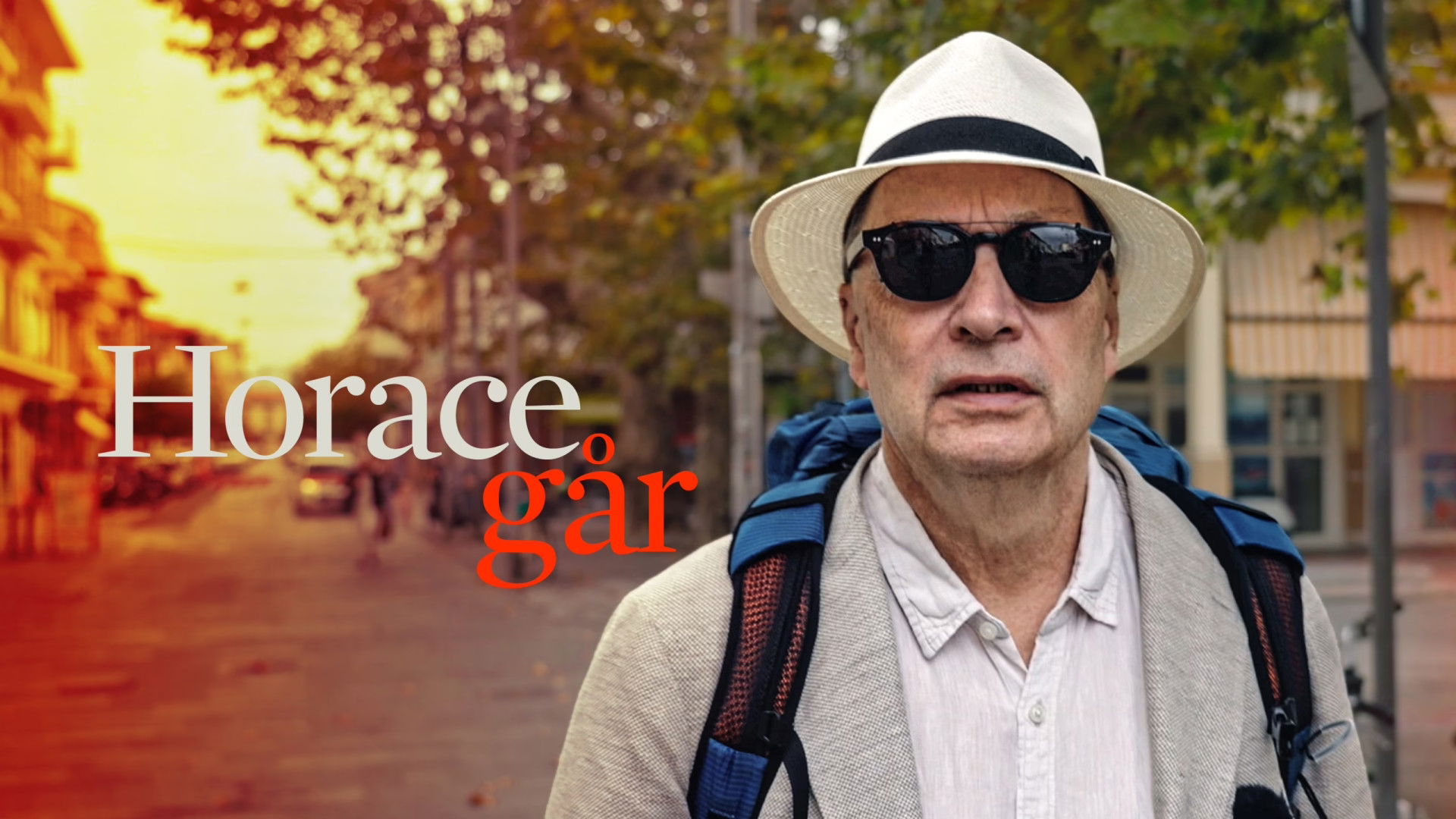 Backdrop for Horace går - en vandring genom livet och krisen