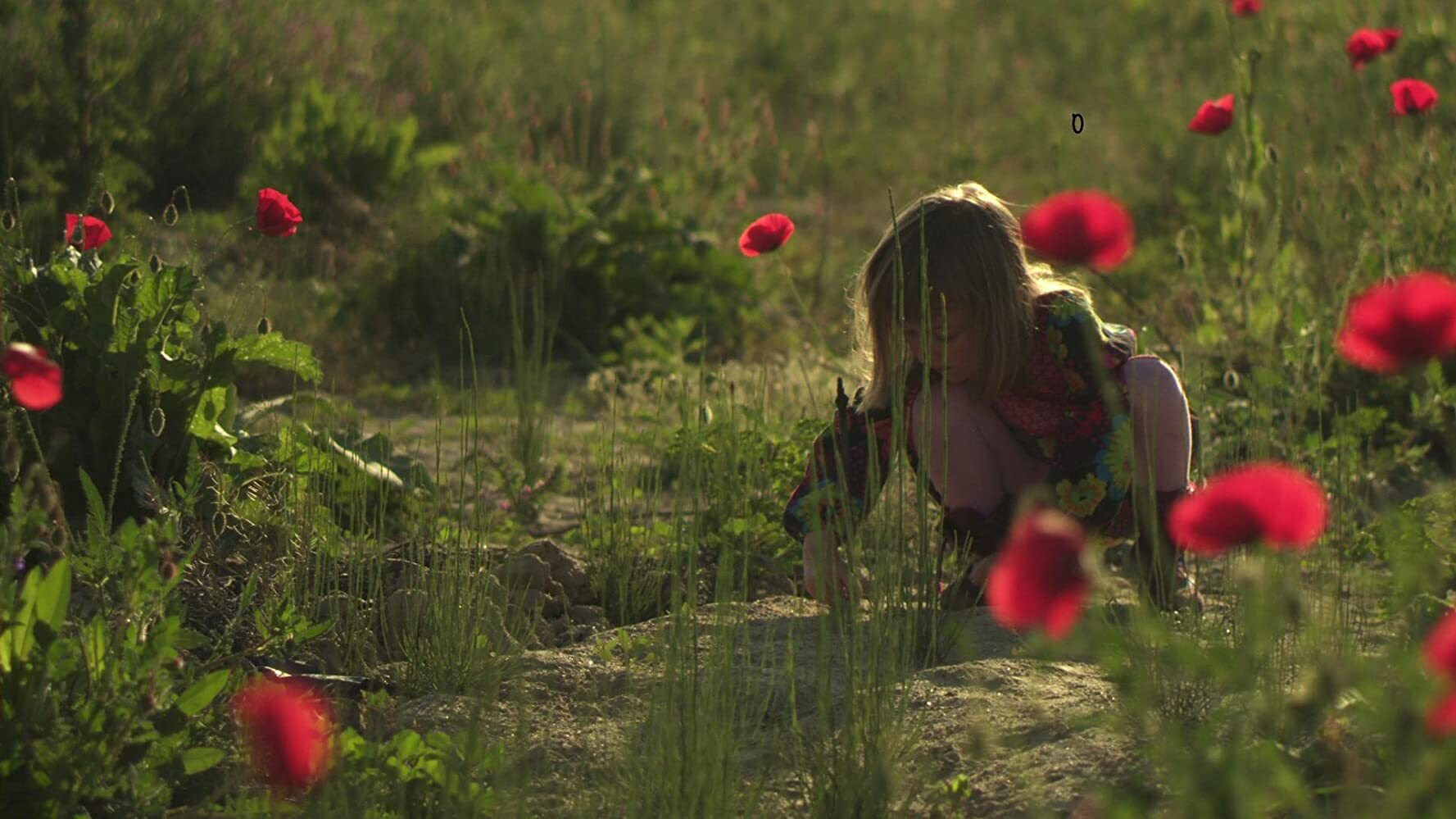 Backdrop for Mother Europe