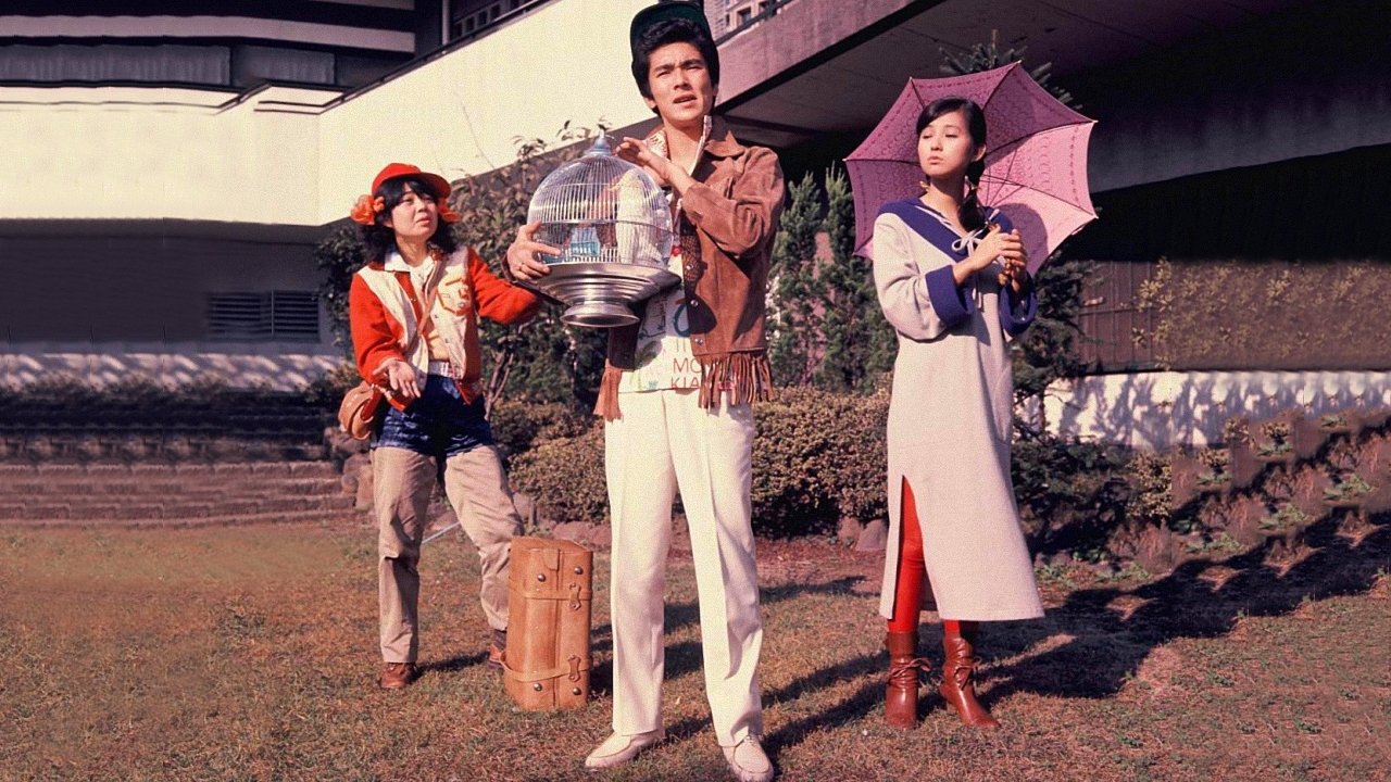 Backdrop for Crocodile, Parrot and Fur Seal