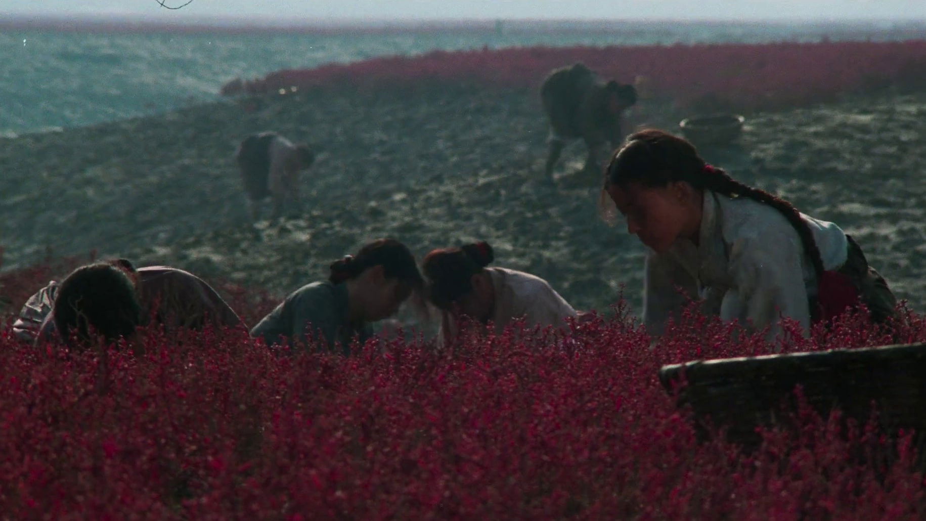 Backdrop for Life Line