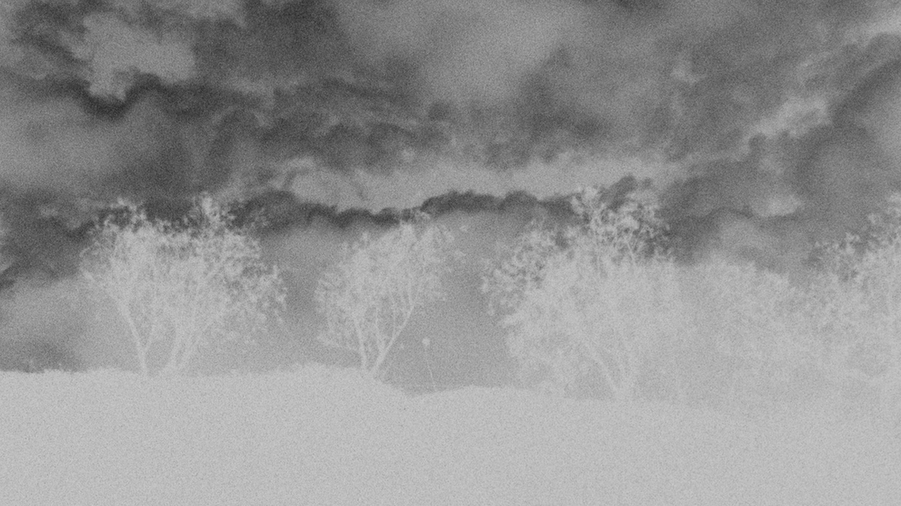 Backdrop for Looking Into the Sun