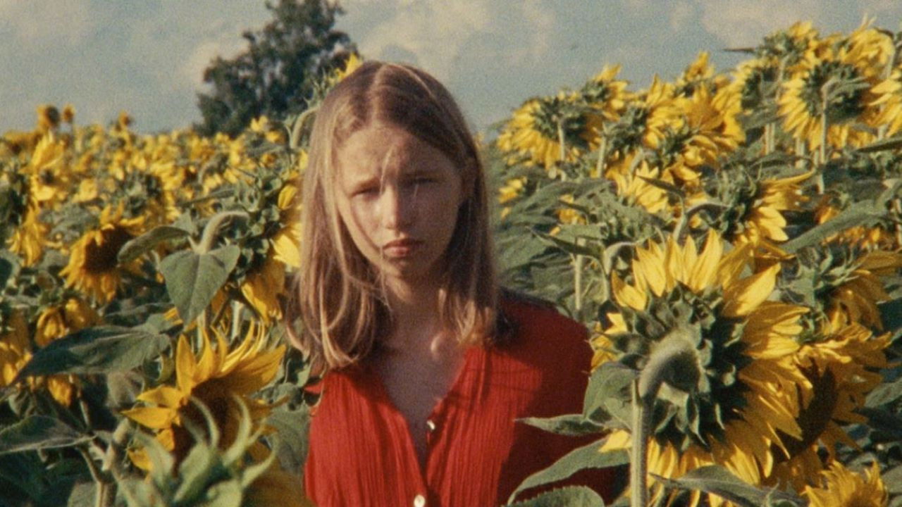 Backdrop for Alice and the Sunflowers