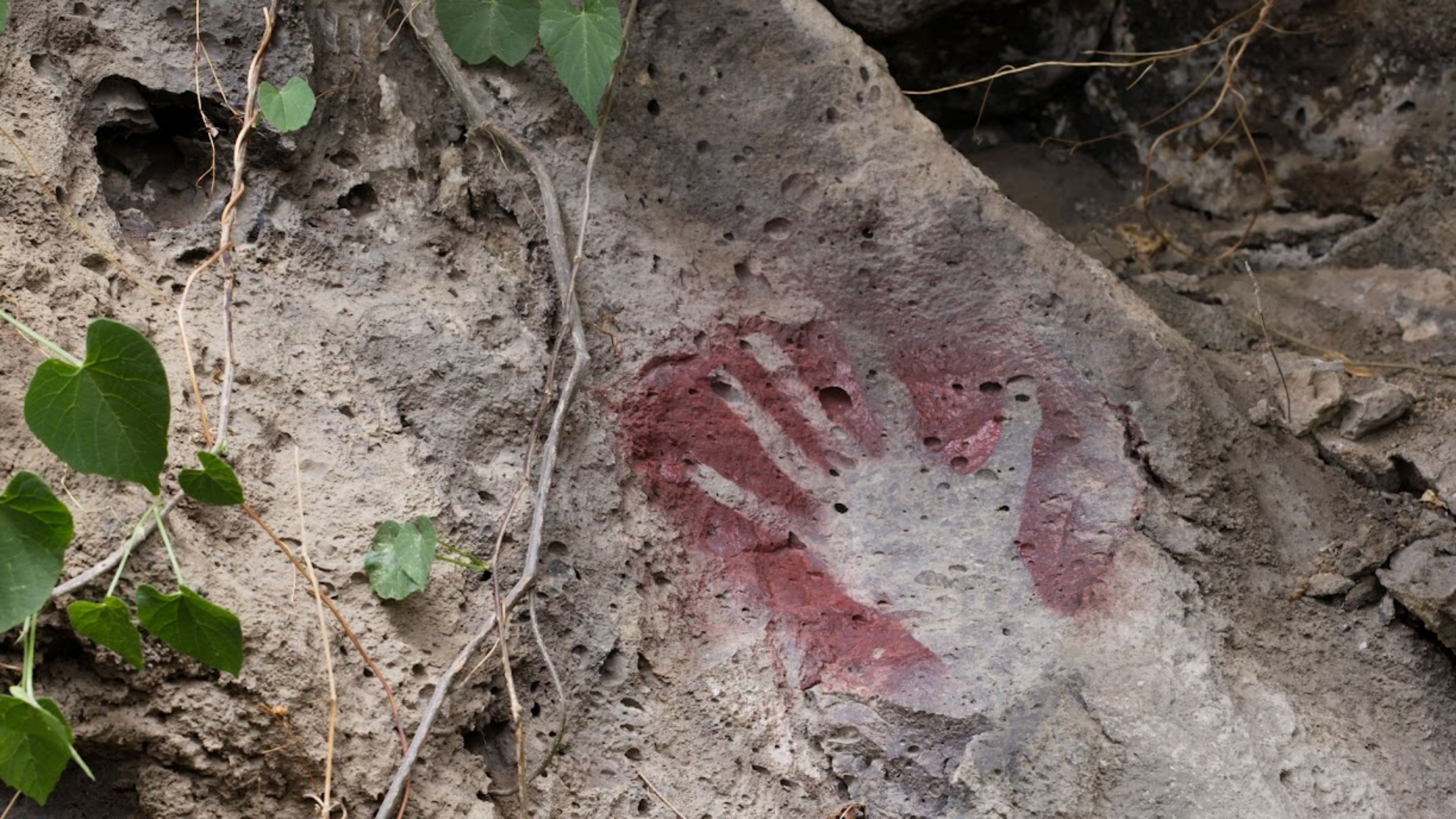 Backdrop for Bad Days Won't Last