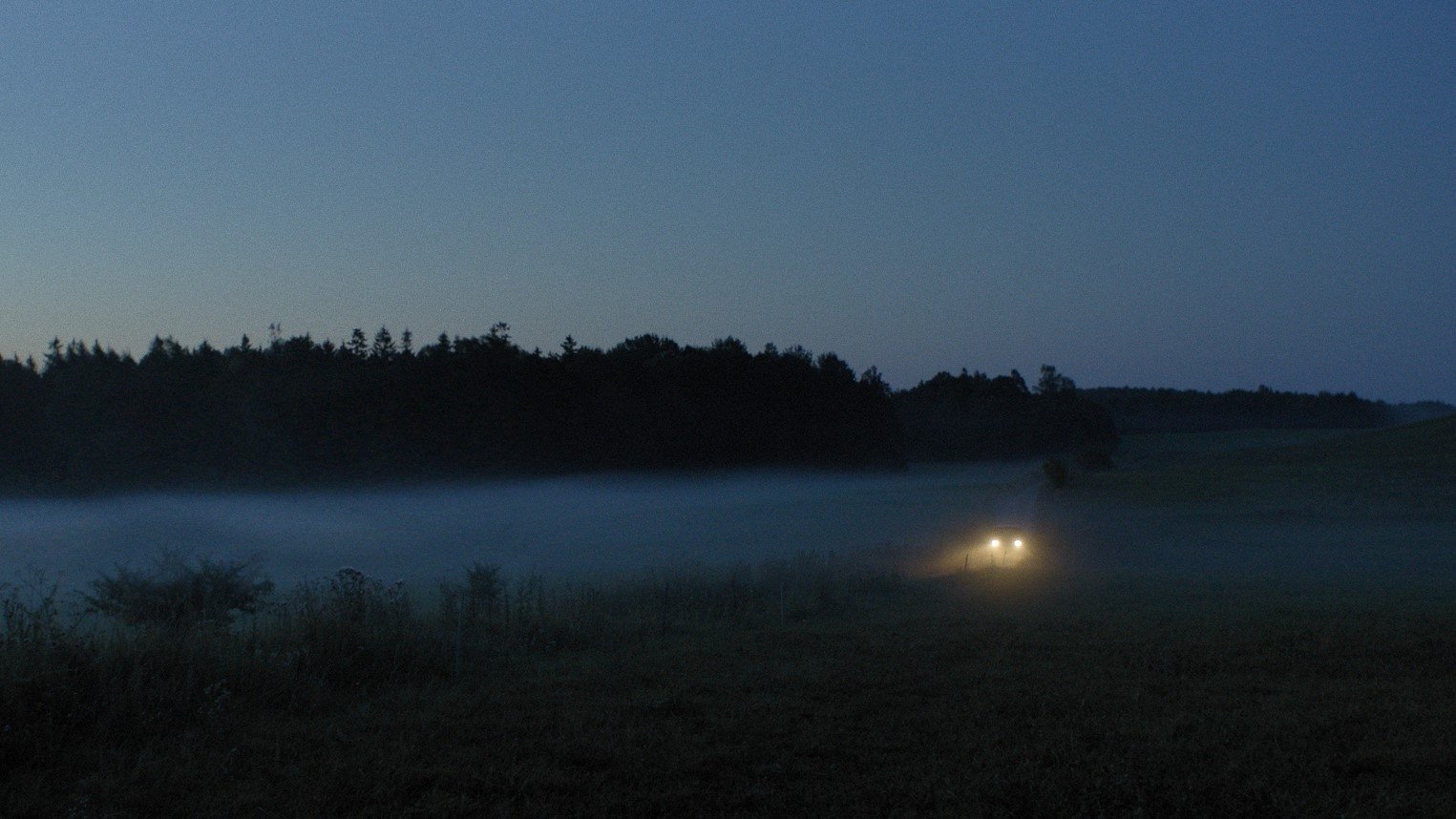 Backdrop for The Dreams Of Lonely People