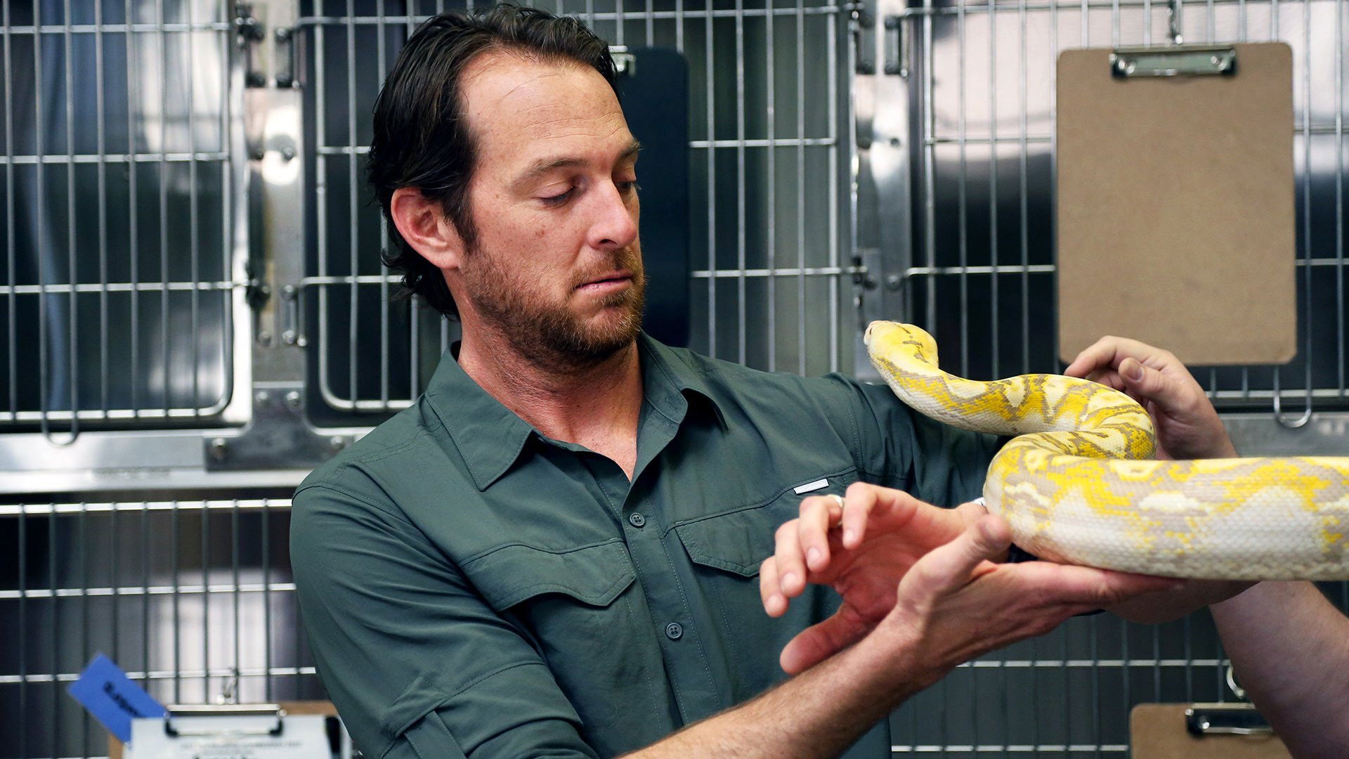 Backdrop for Jobs That Bite!