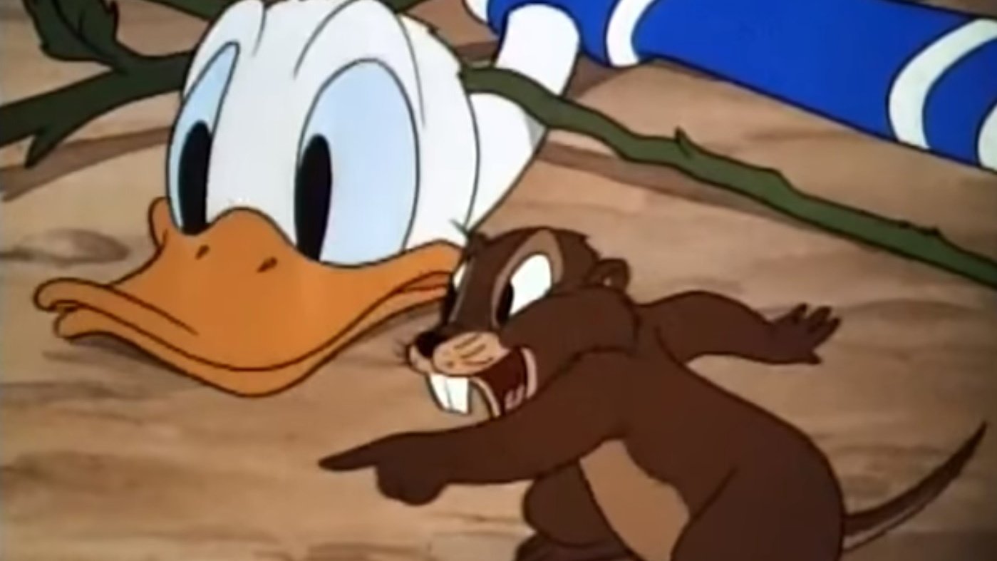 Backdrop for Donald's Garden