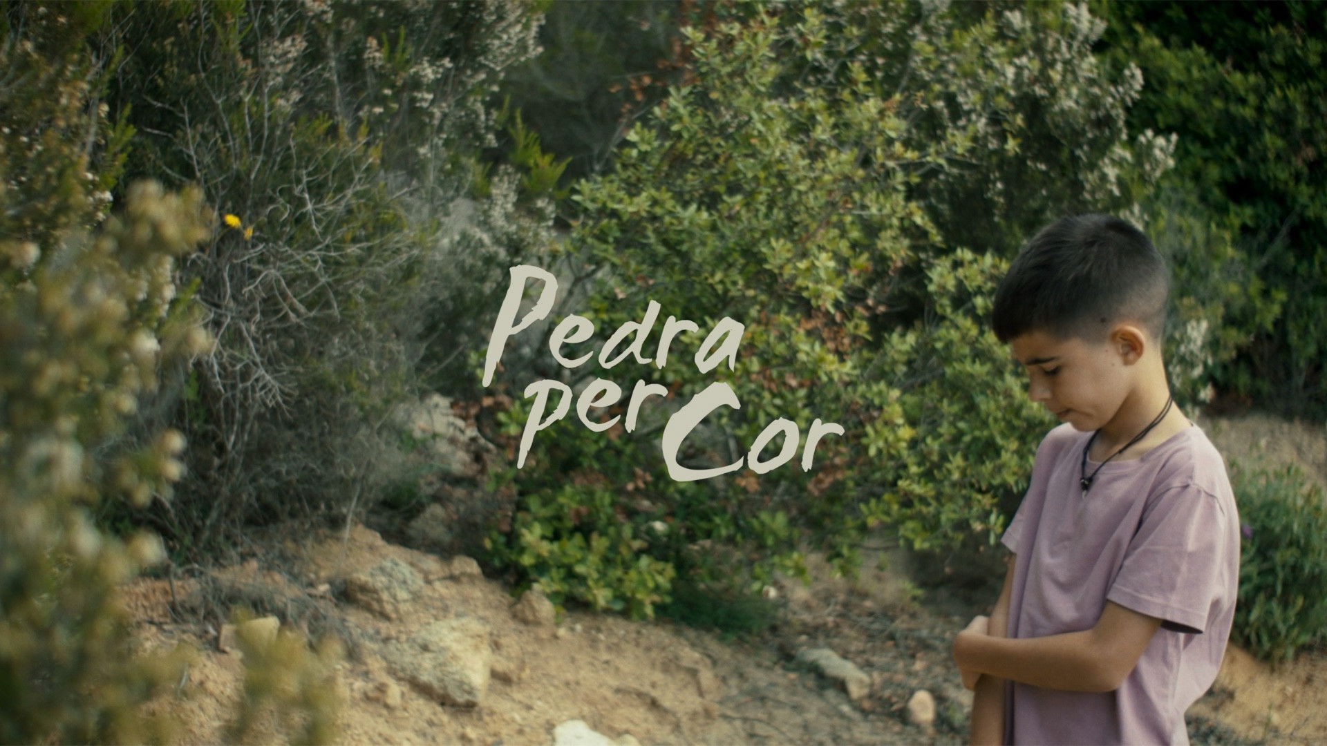 Backdrop for Pedra per Cor