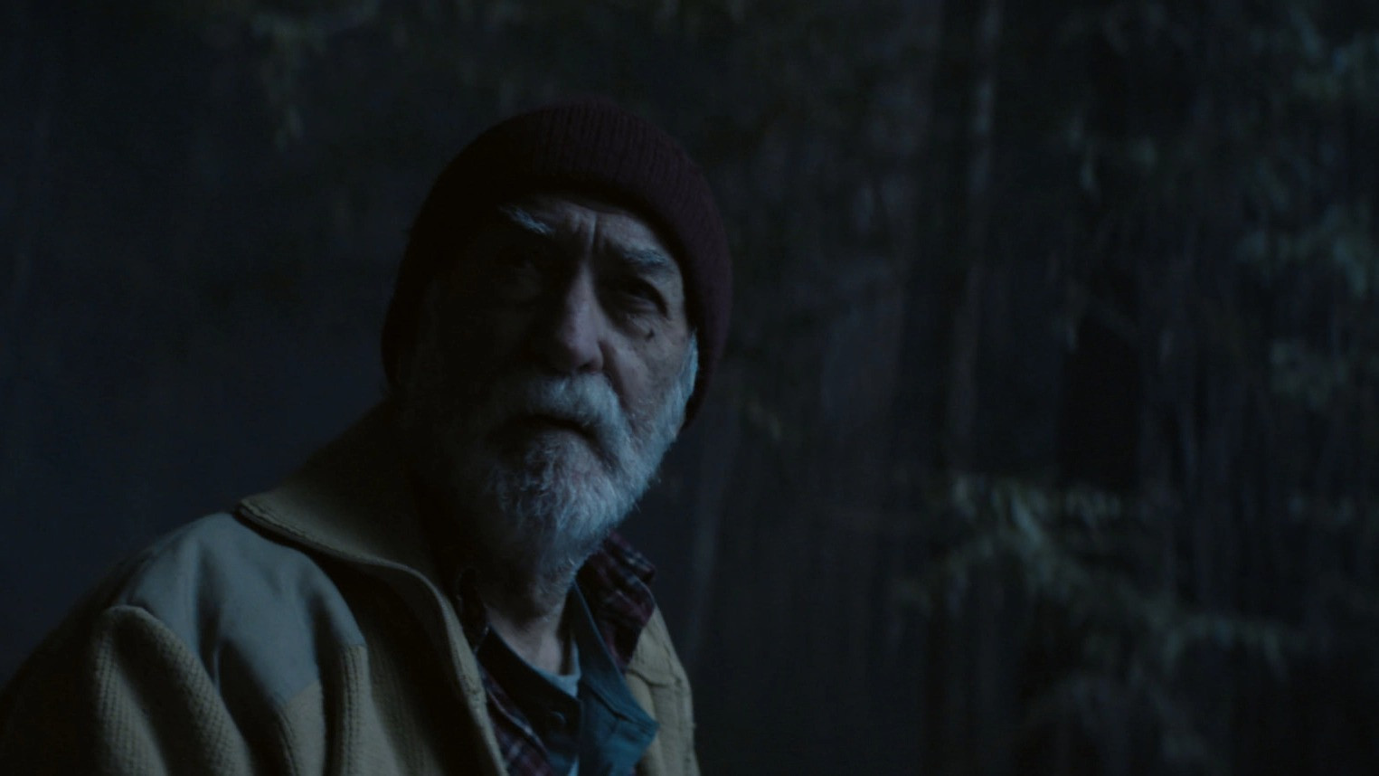 Backdrop for Where the pines lament