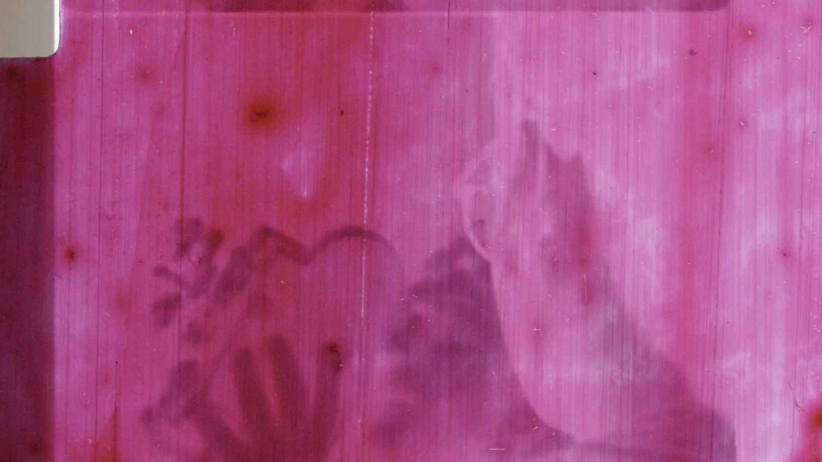 Backdrop for Anxiety Juice