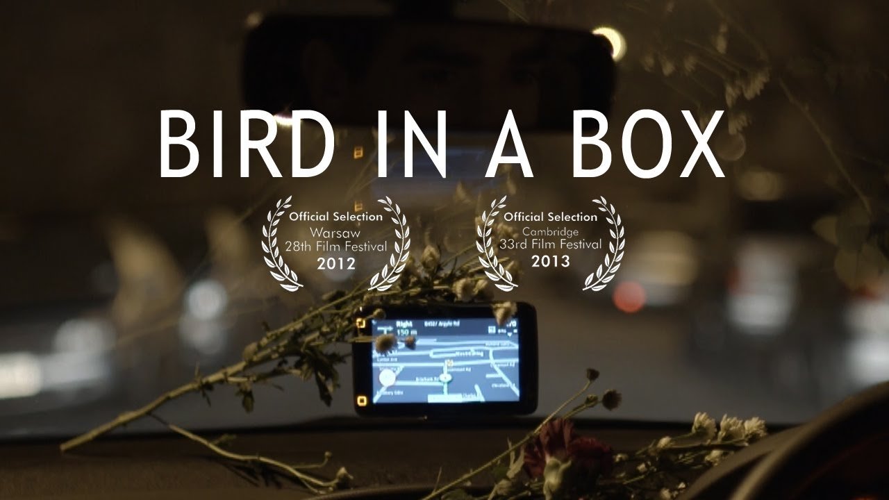 Backdrop for Bird in a Box