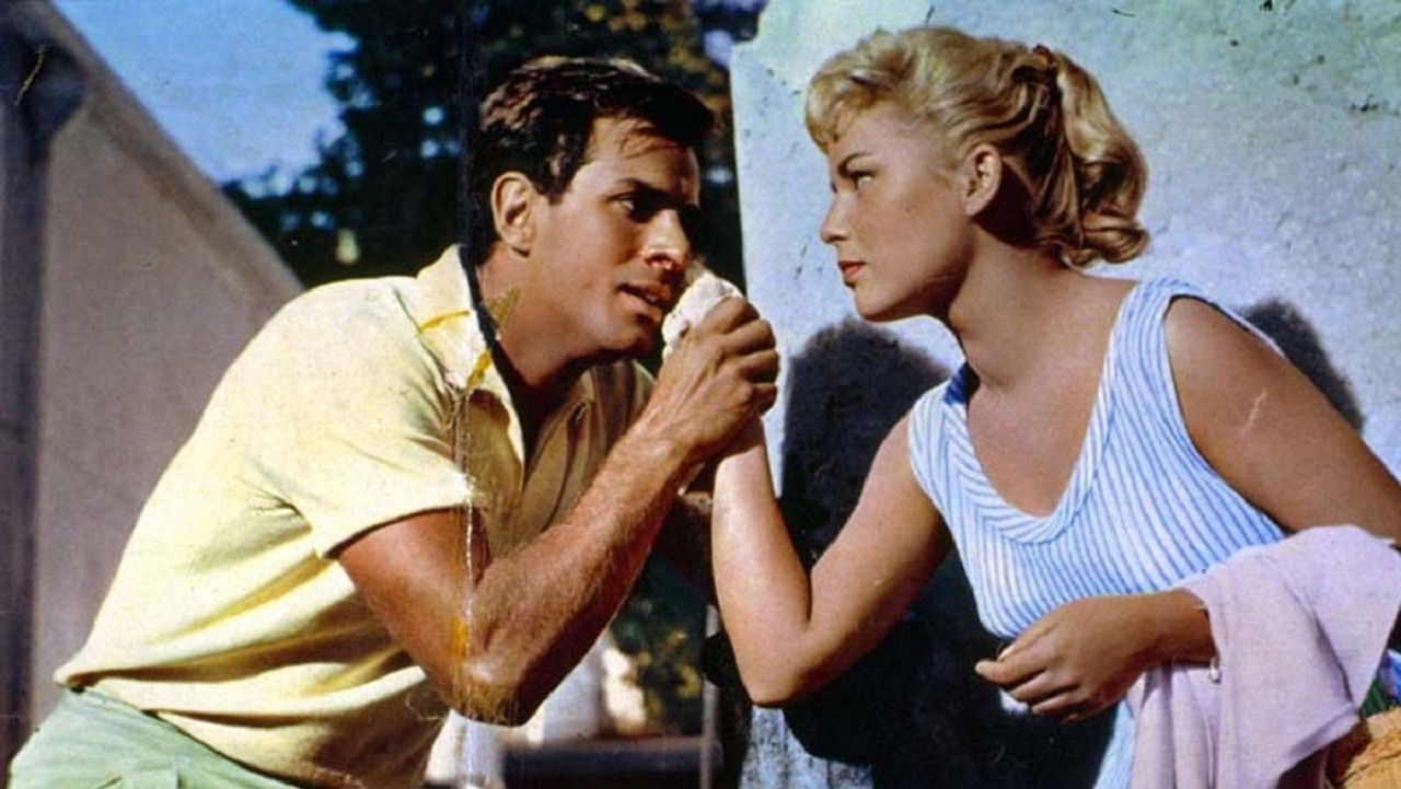 Backdrop for Holiday Island