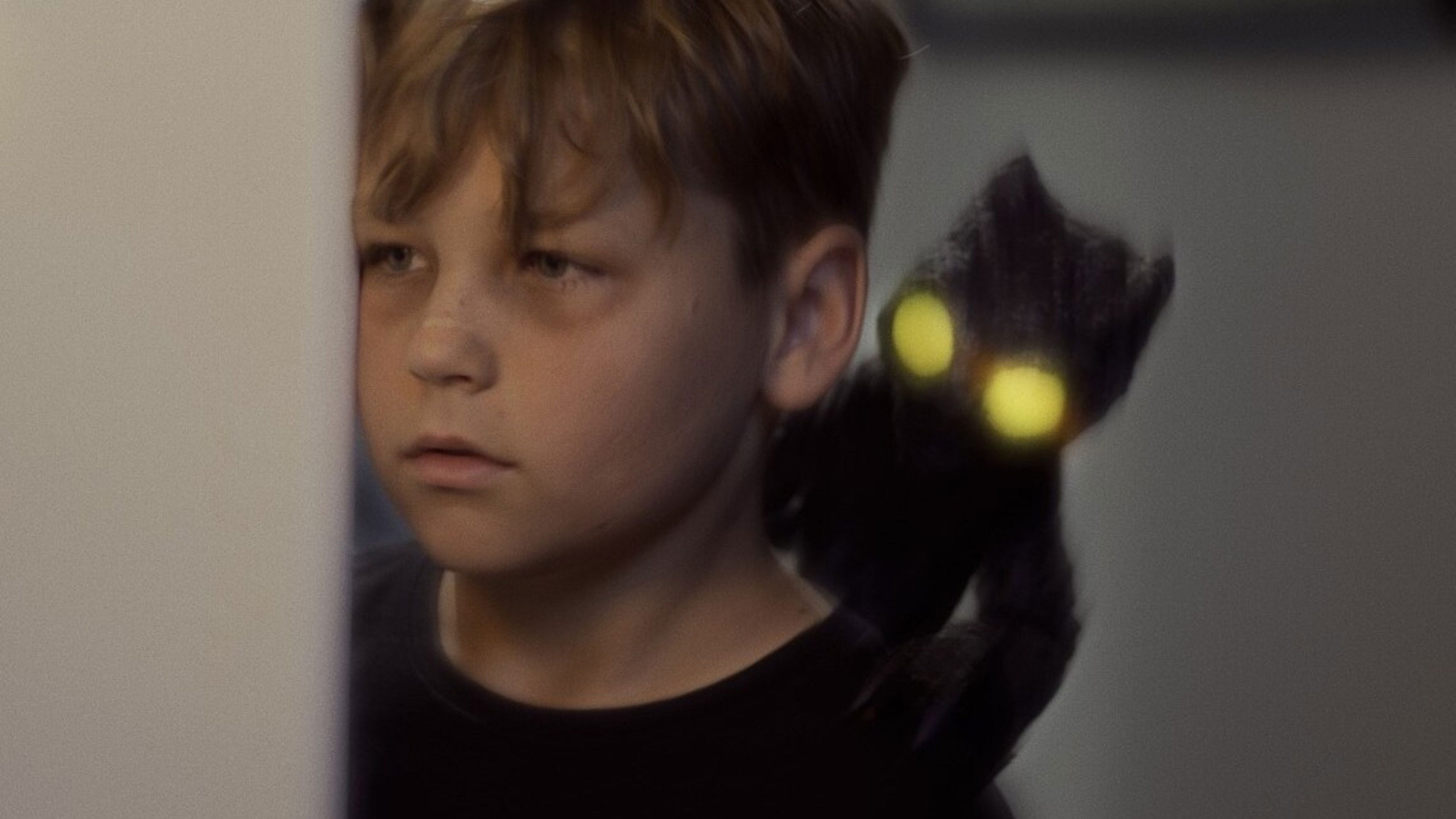 Backdrop for Yellow Eye