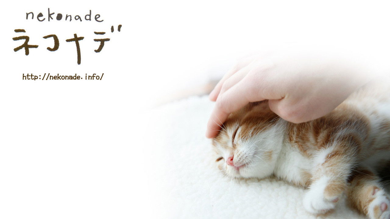 Backdrop for Nekonade